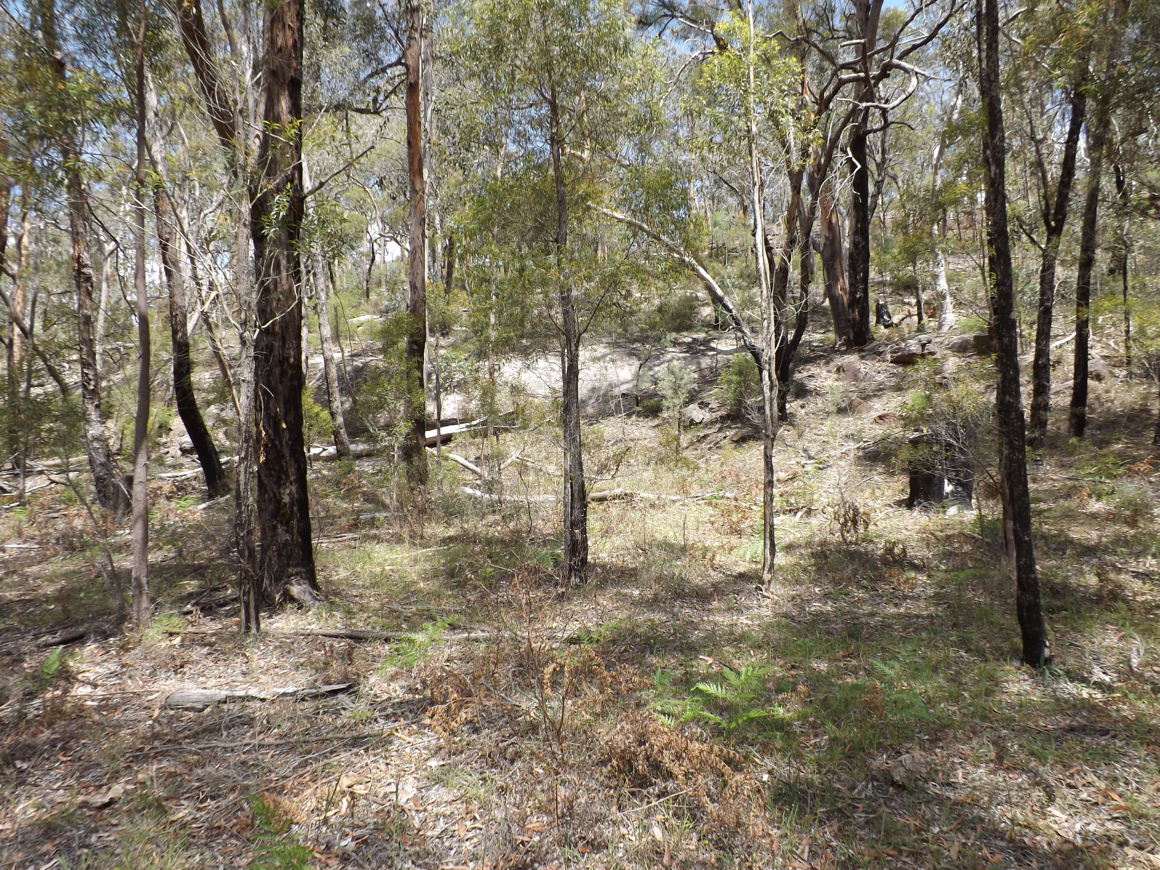 Garland Valley NSW 2330, Garland Valley - Thumbnail 7