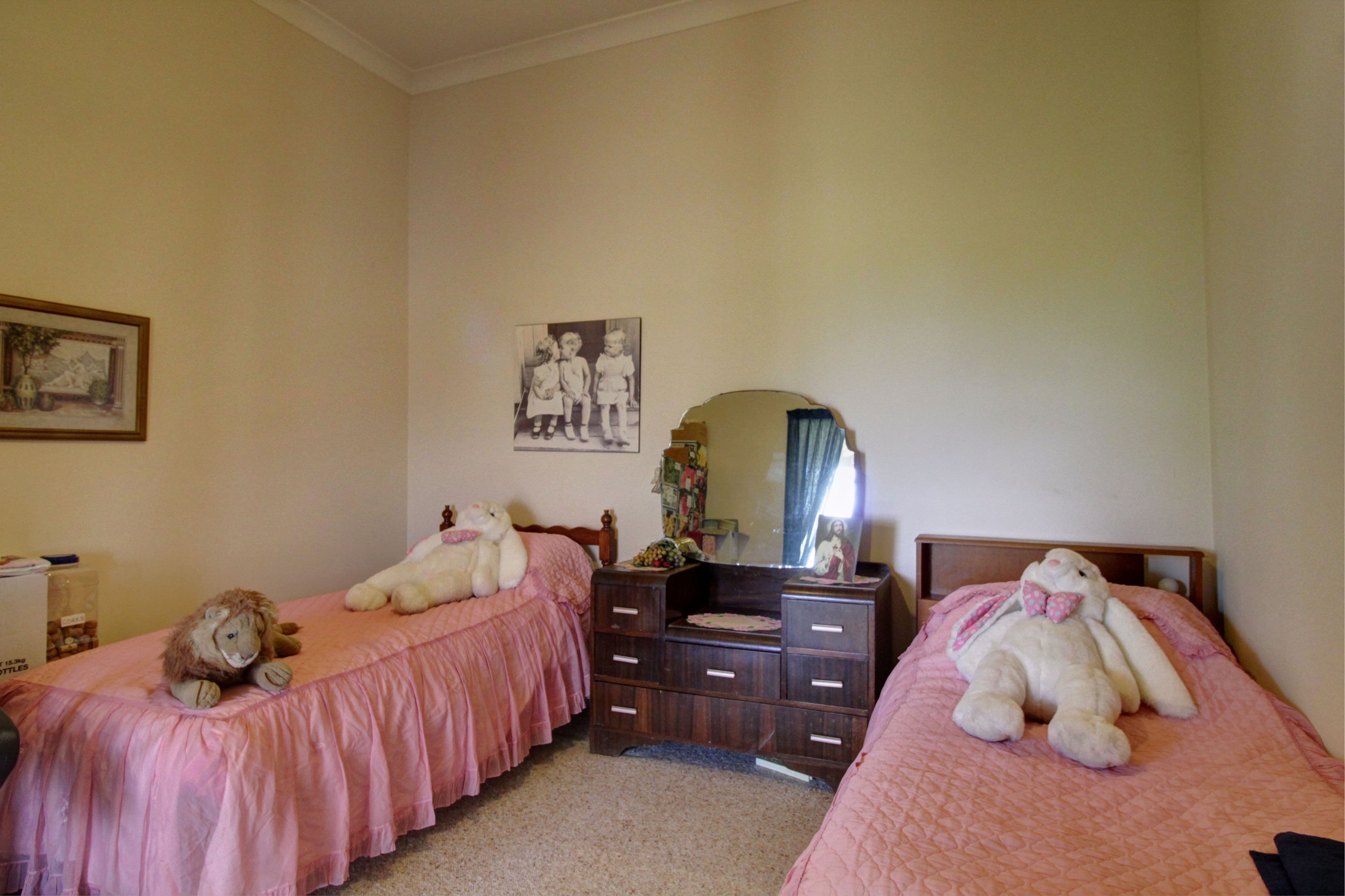 84 Wright Road, Monash SA 5342, Monash - Thumbnail 5