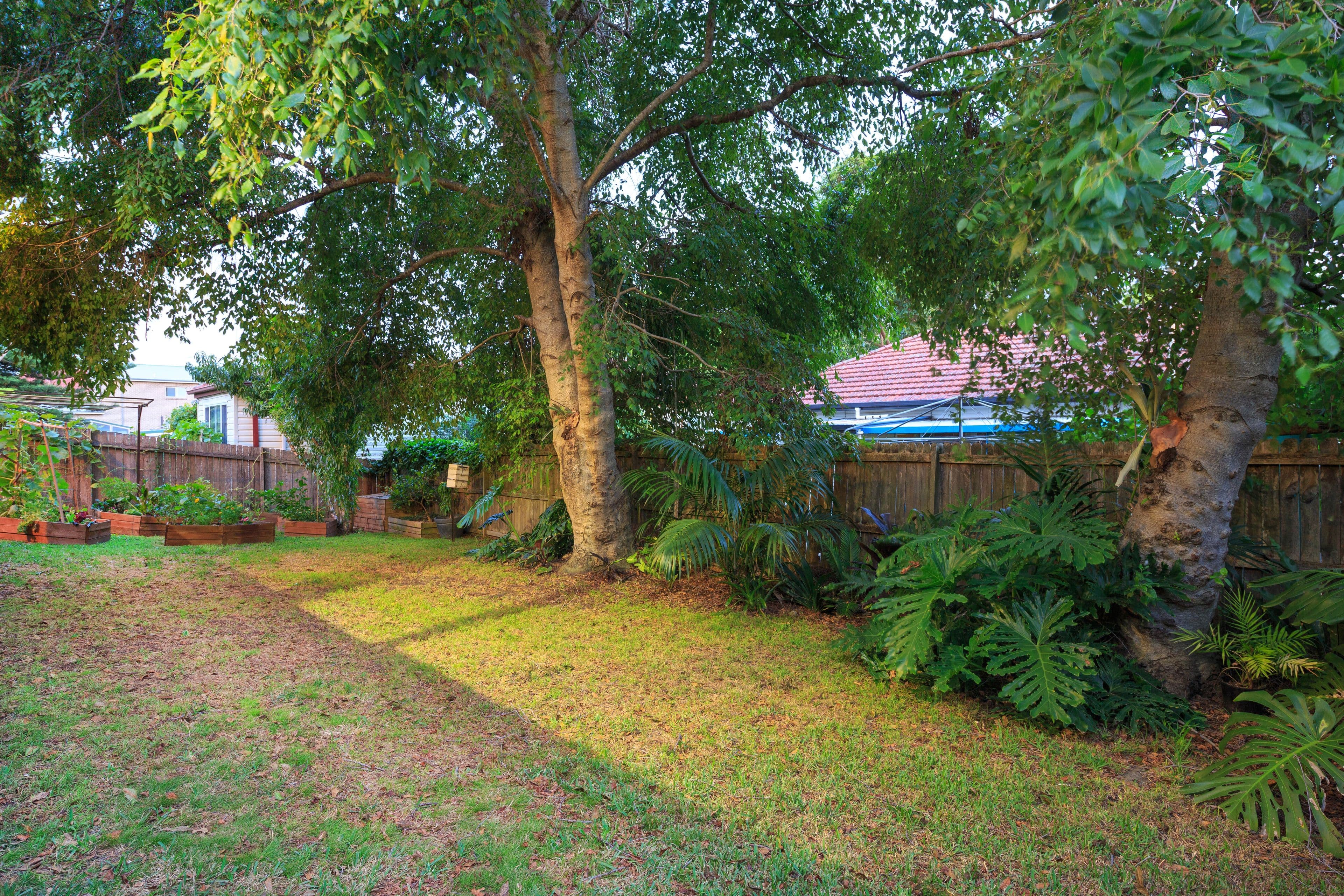 53 Broughton Street, Mortdale - Thumbnail 7