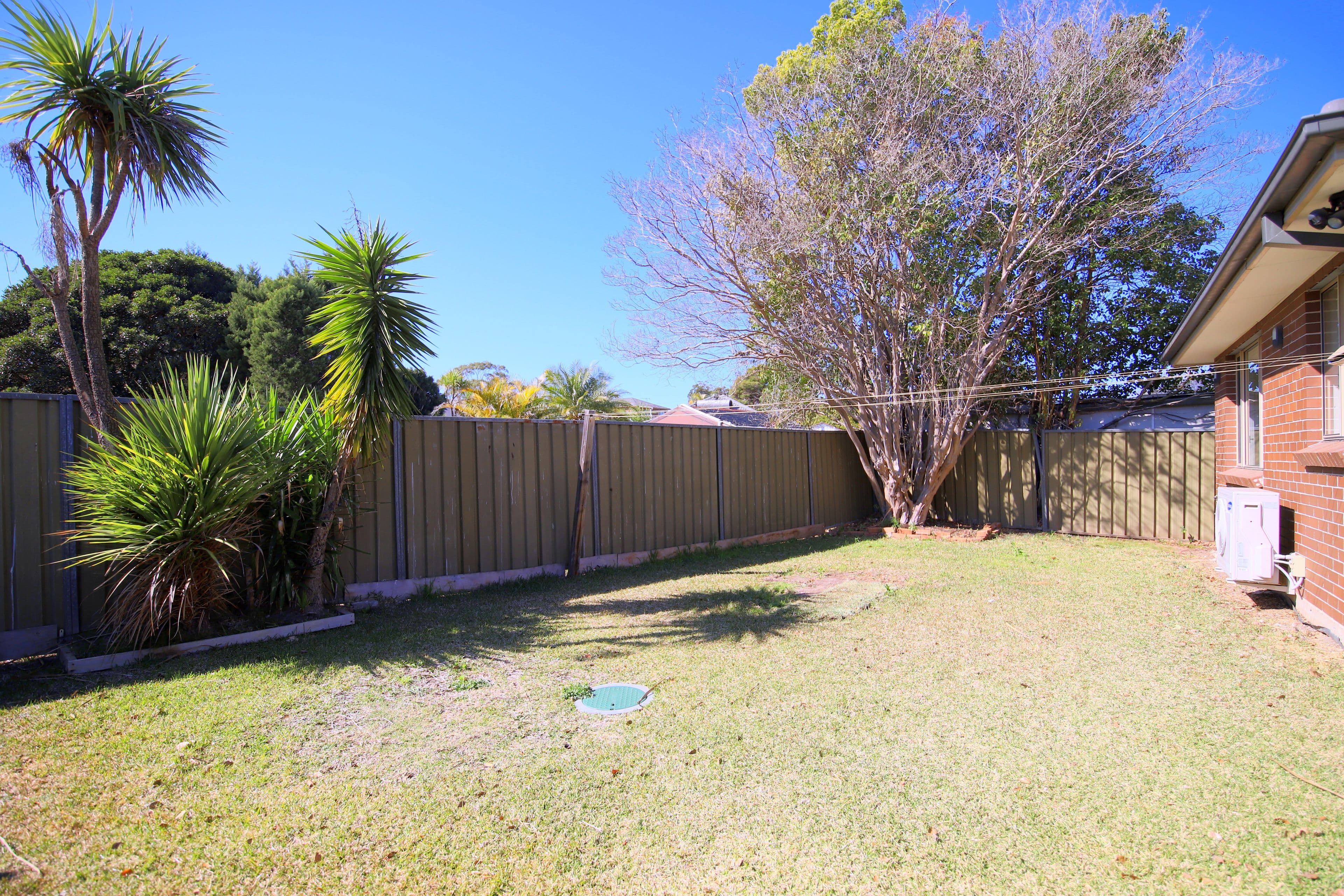 58A Renown Avenue, Wiley Park NSW 2195, Wiley Park - Thumbnail 3