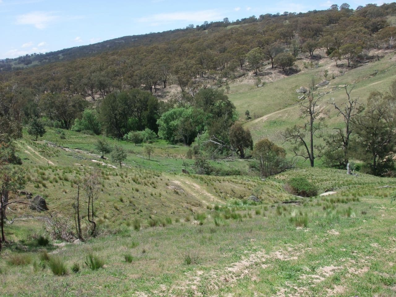 Bathurst NSW 2795, Bathurst - Thumbnail 2