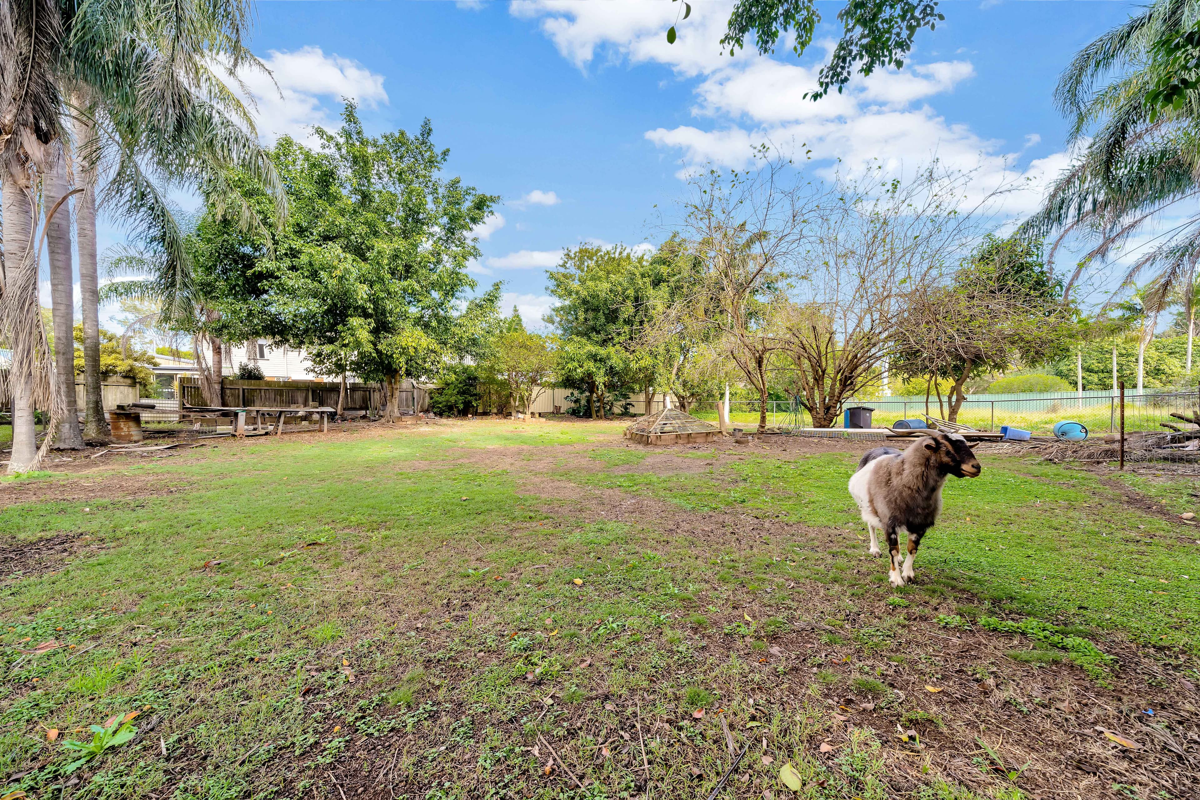 6 Parkway Road, Daisy Hill QLD 4127, Daisy Hill - Thumbnail 3