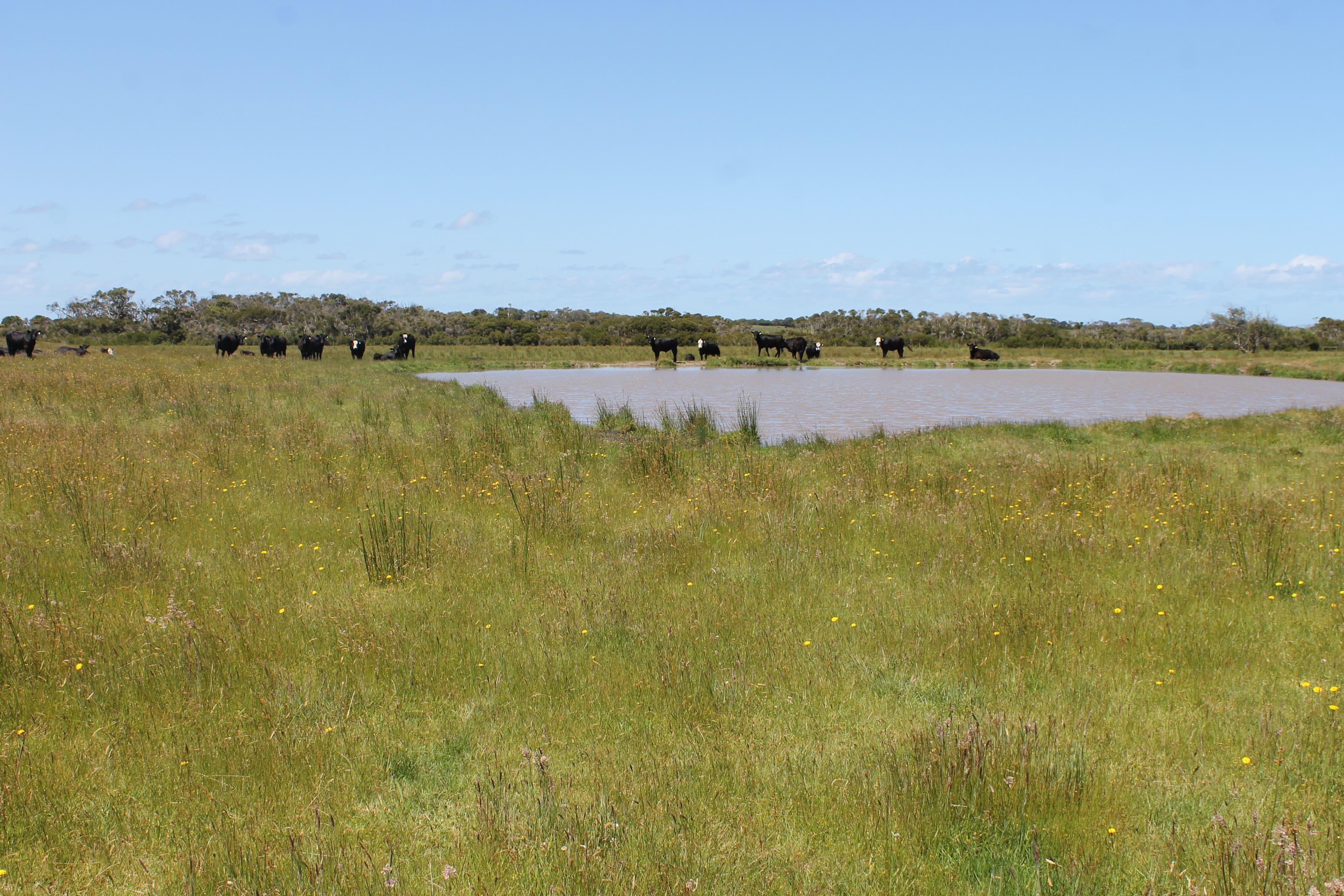 Lot 2 Boundary Road, Inverloch VIC 3996, Inverloch - Thumbnail 8