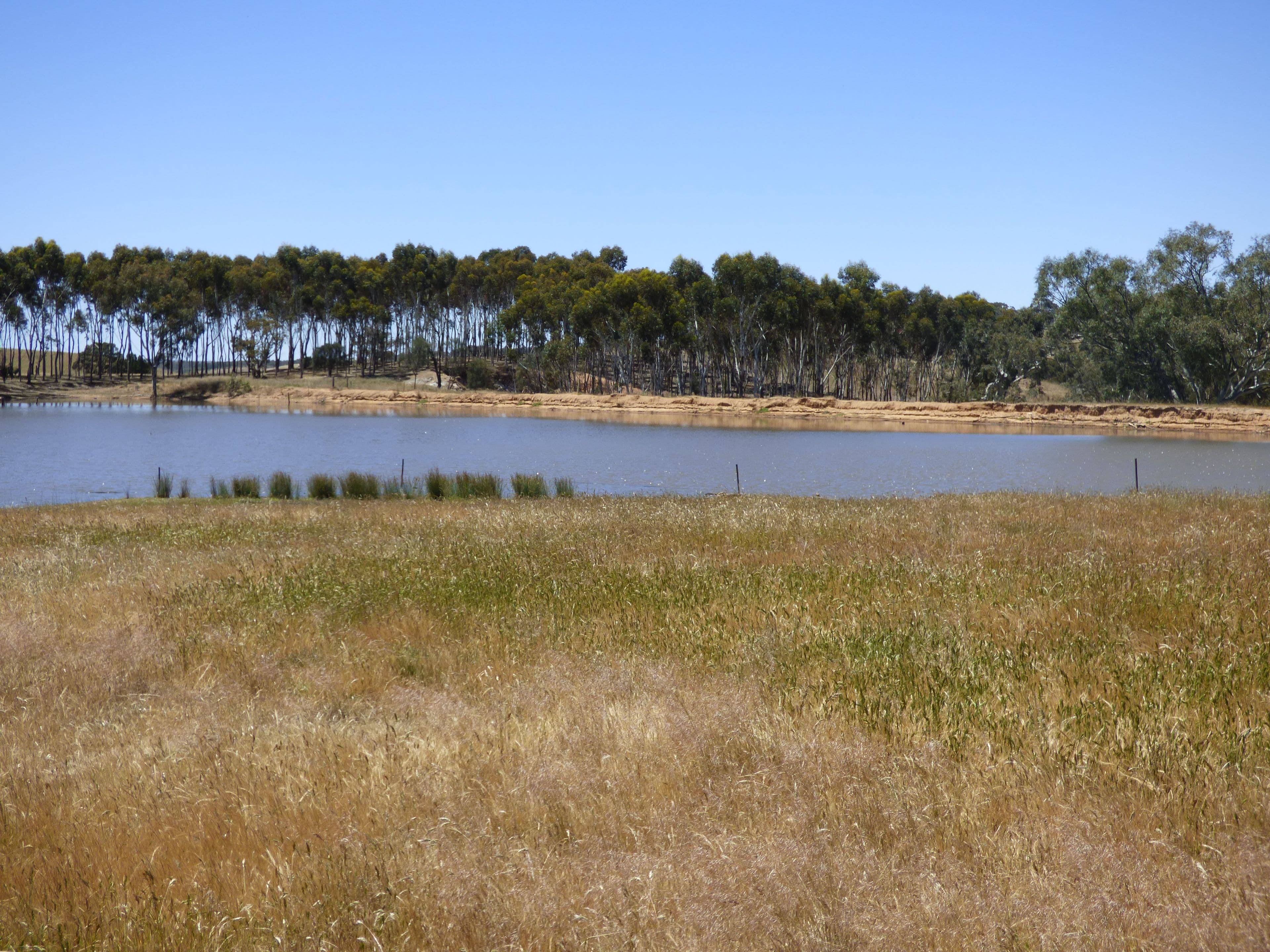 Lot 3 Klenke Road, Wistow SA 5251, Wistow - Thumbnail 7