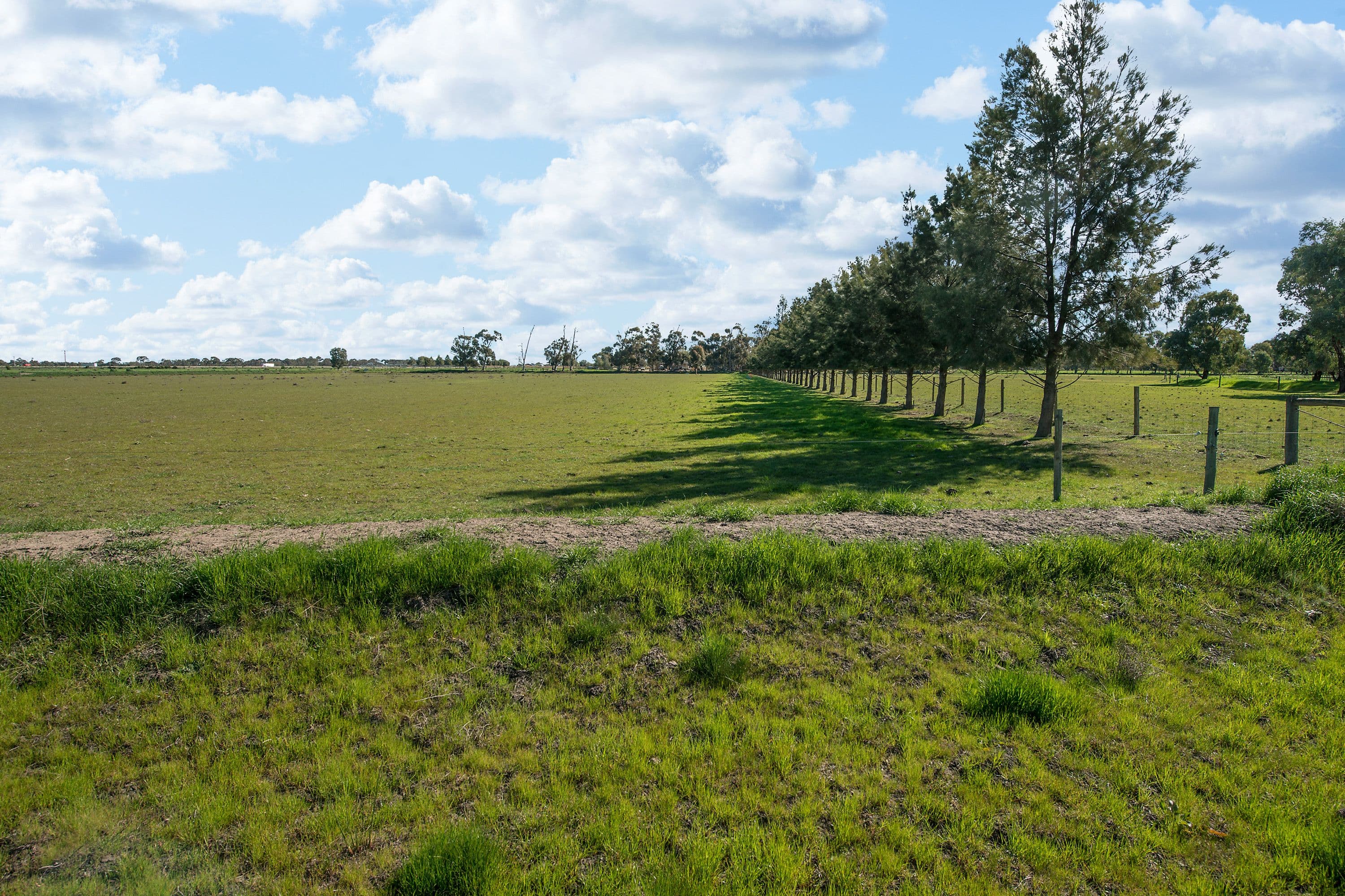 156 Maher Road, Swan Hill VIC 3585, Swan Hill - Thumbnail 5
