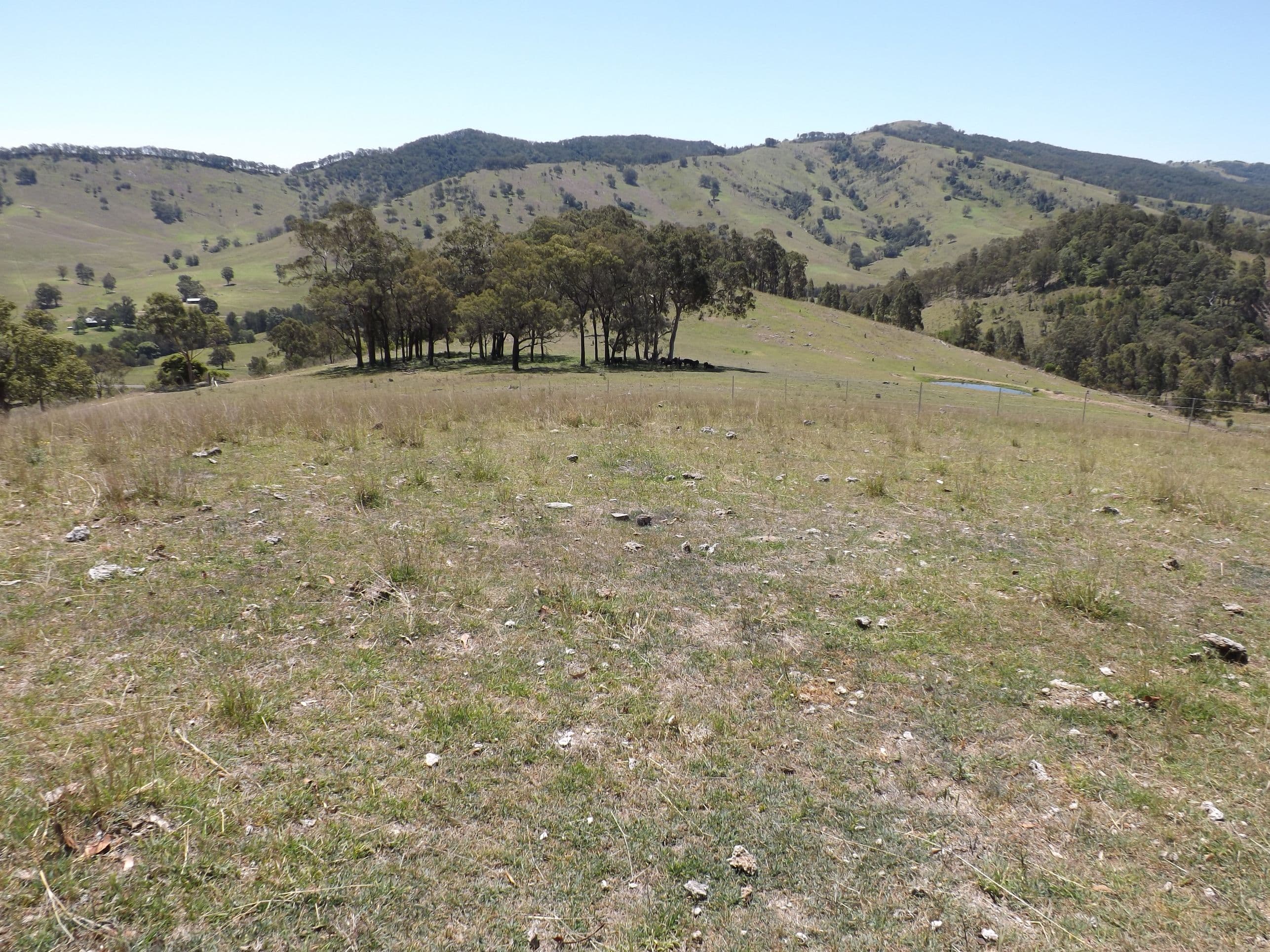 Lots 1 Carrowbrook Road, SINGLETON NSW 2330, Singleton - Thumbnail 2