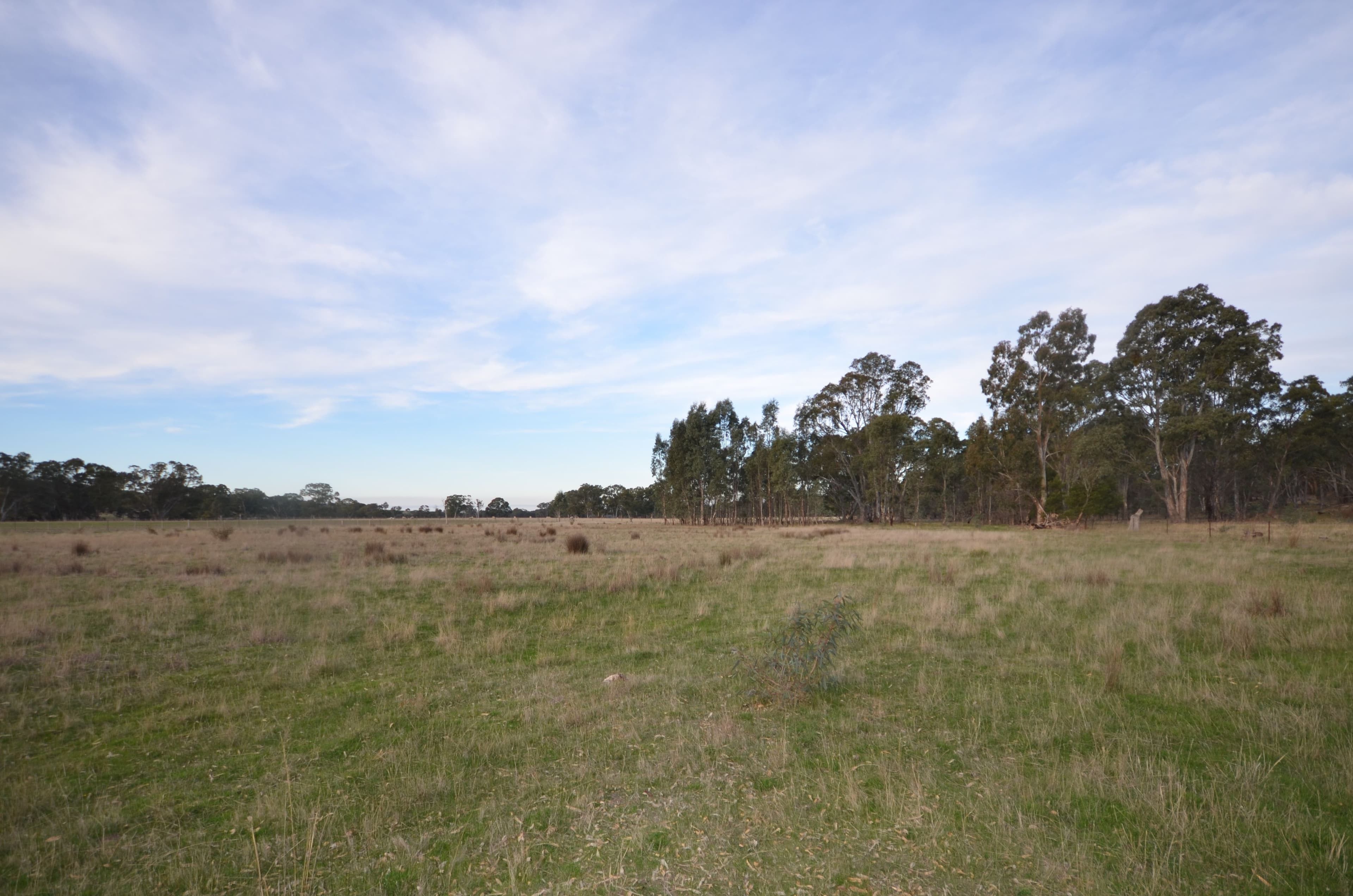 CA 9B Andersons Road, AMPHITHEATRE  Victoria  3468, Australia, Amphitheatre - Thumbnail 7