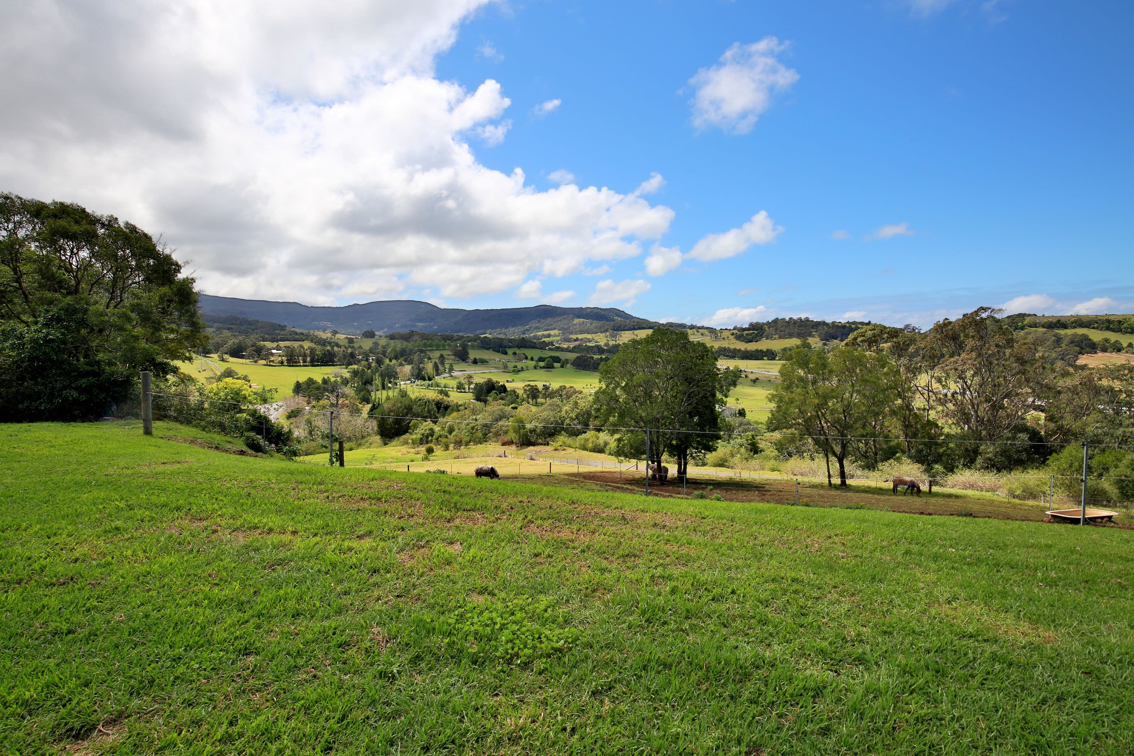 10 Tomlins Road, Broughton Village NSW 2534, Broughton Village - Image 1