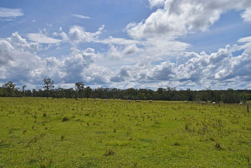 Lot 37 Tullymorgan Road, Lawrence NSW 2460, Lawrence - Thumbnail 5