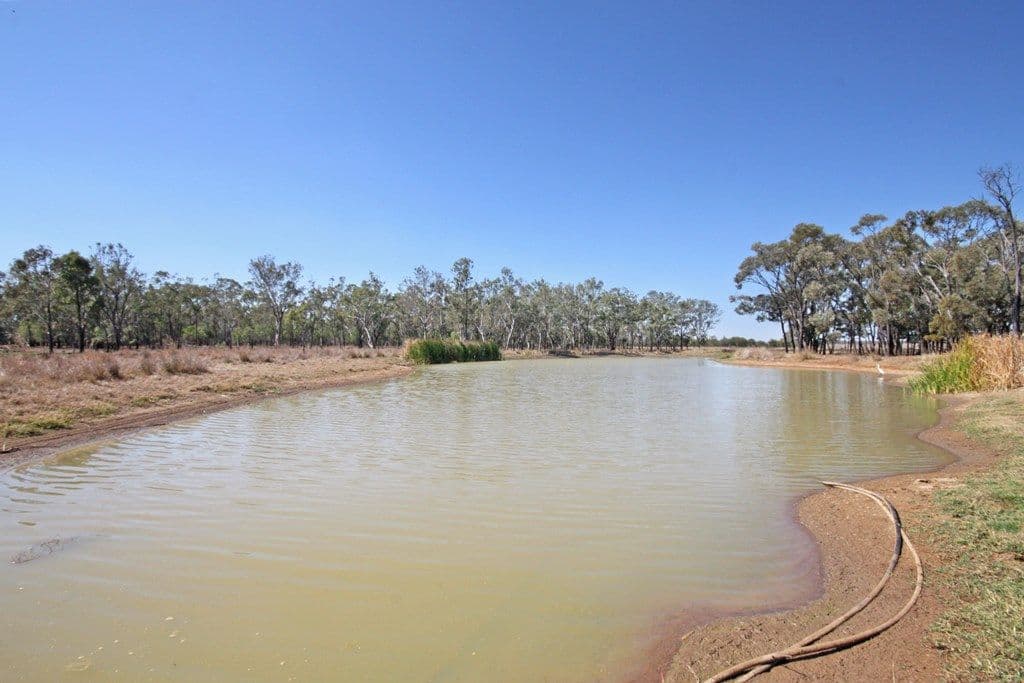 135 Austins Road, Theodore QLD 4719, Theodore - Thumbnail 3