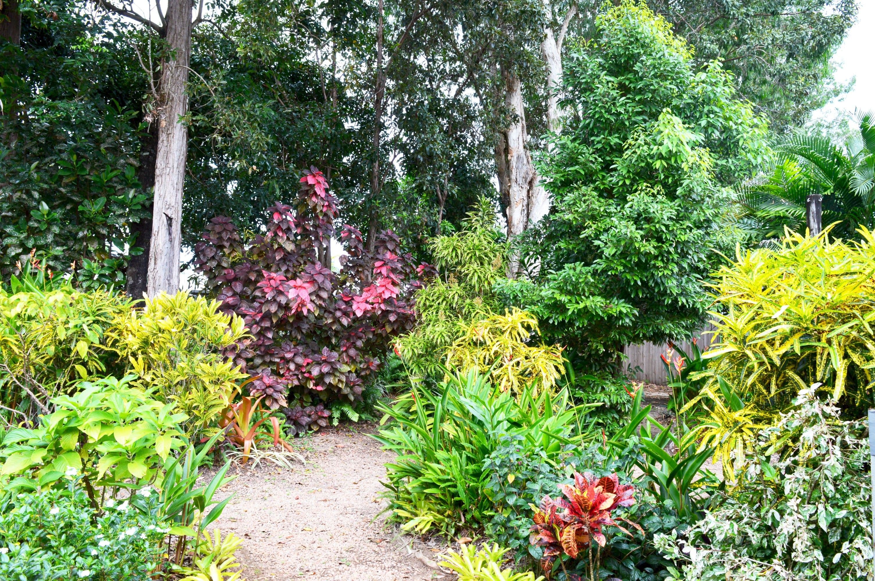 24 Kwila Street, Wongaling Beach QLD 4852, Wongaling Beach - Thumbnail 4