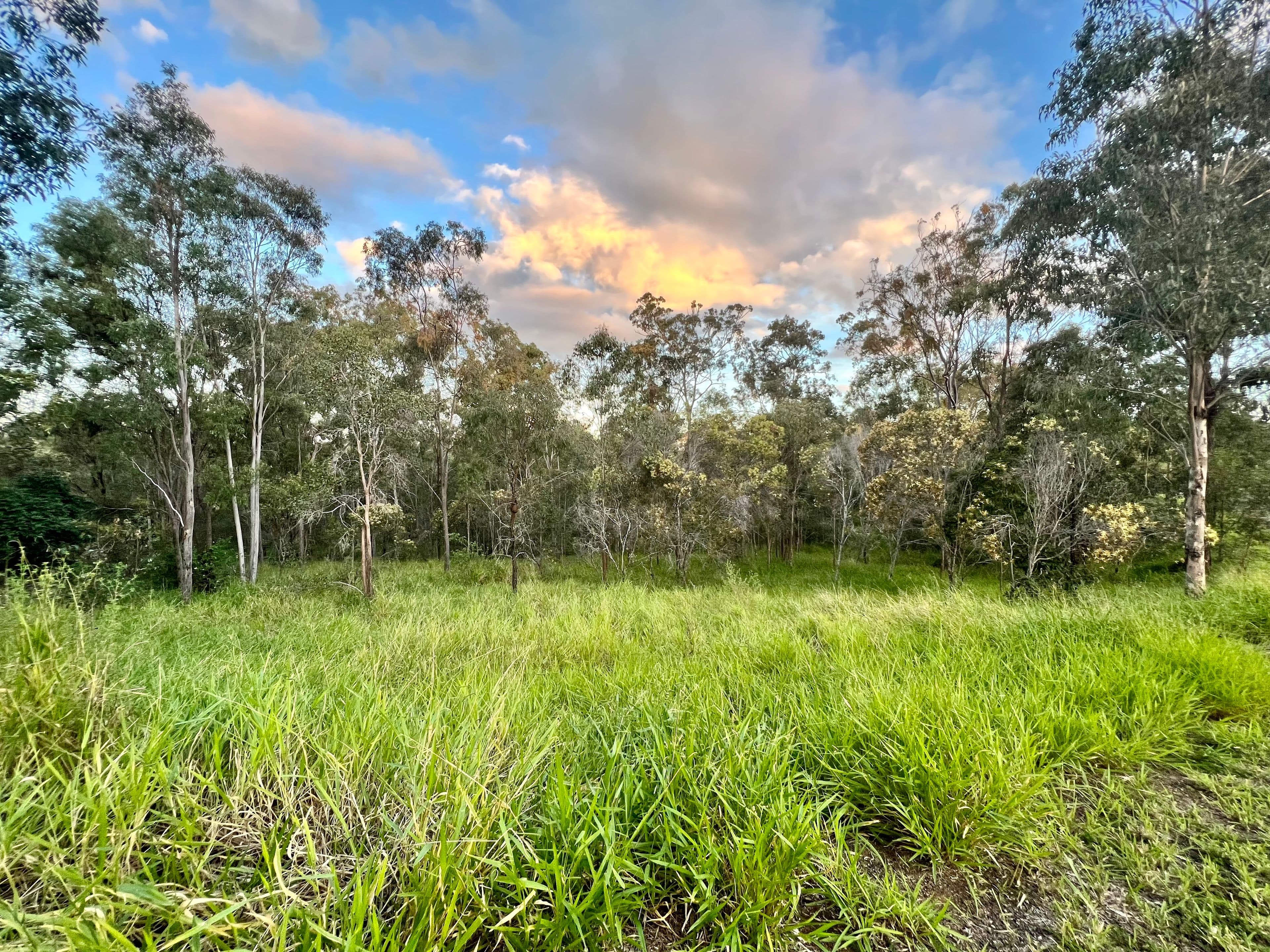 Lot 4 Lirema Court, Delan QLD 4671, Delan - Thumbnail 7