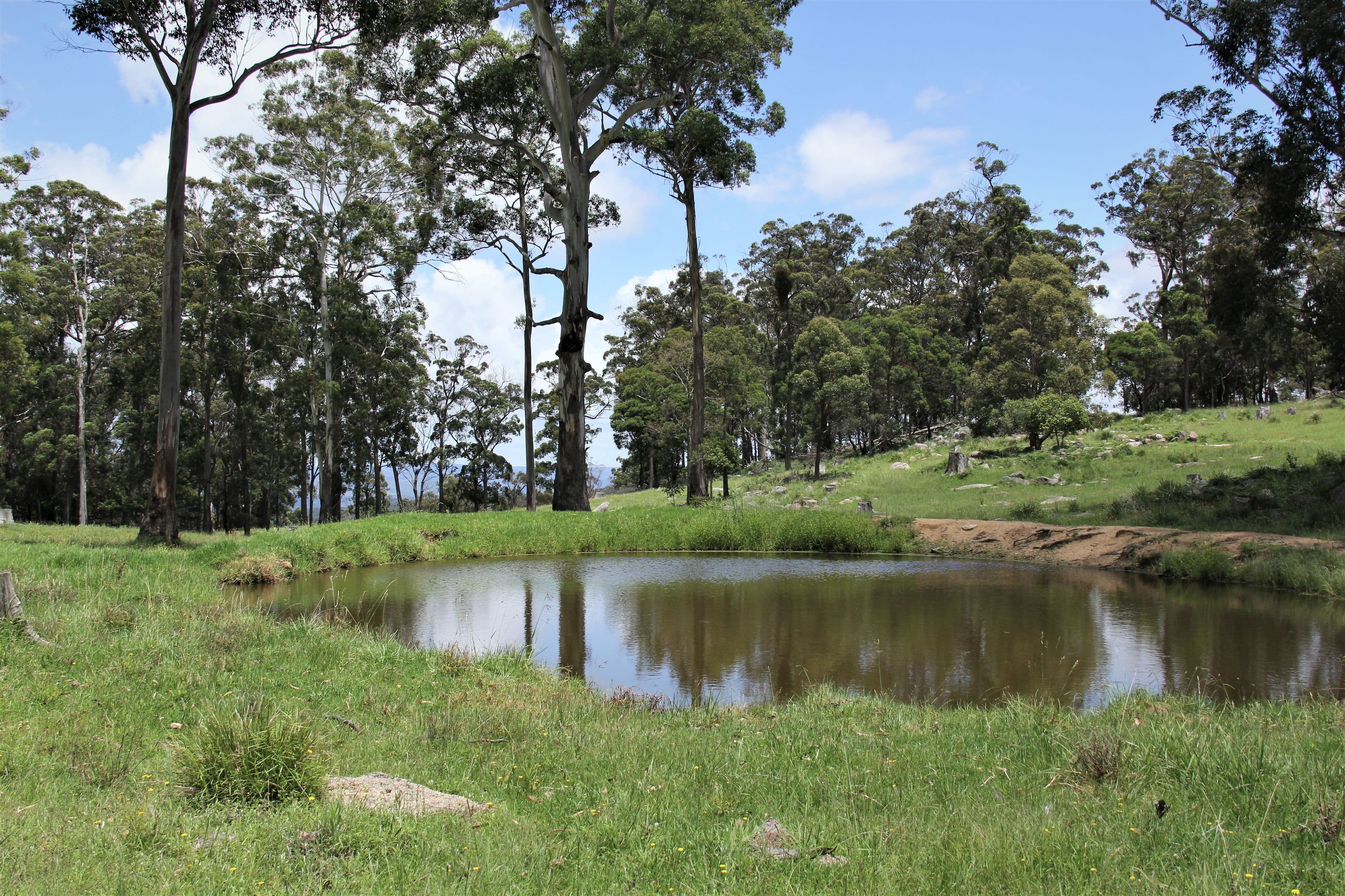 170 Bungulla Road, Tenterfield NSW 2372, Tenterfield - Image 1