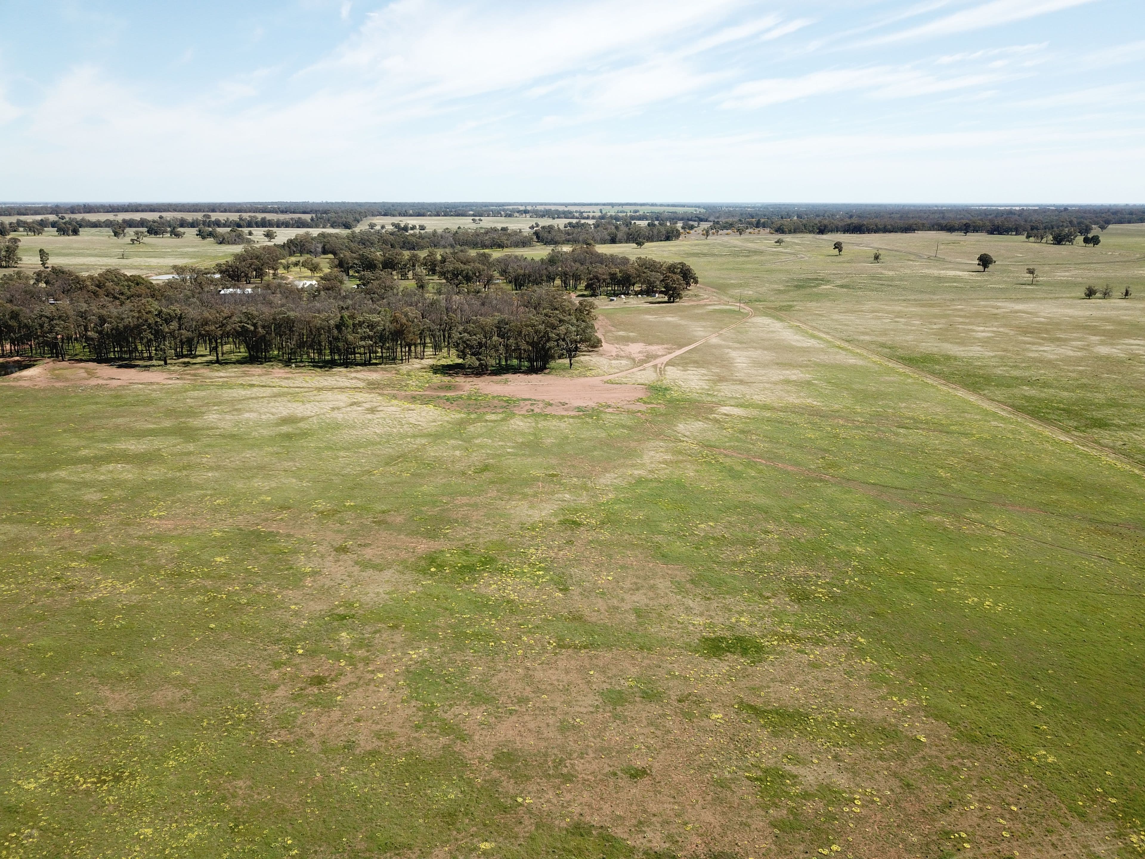'Windeena' 802 Milpulling Road, Gilgandra NSW 2827, Gilgandra - Thumbnail 7