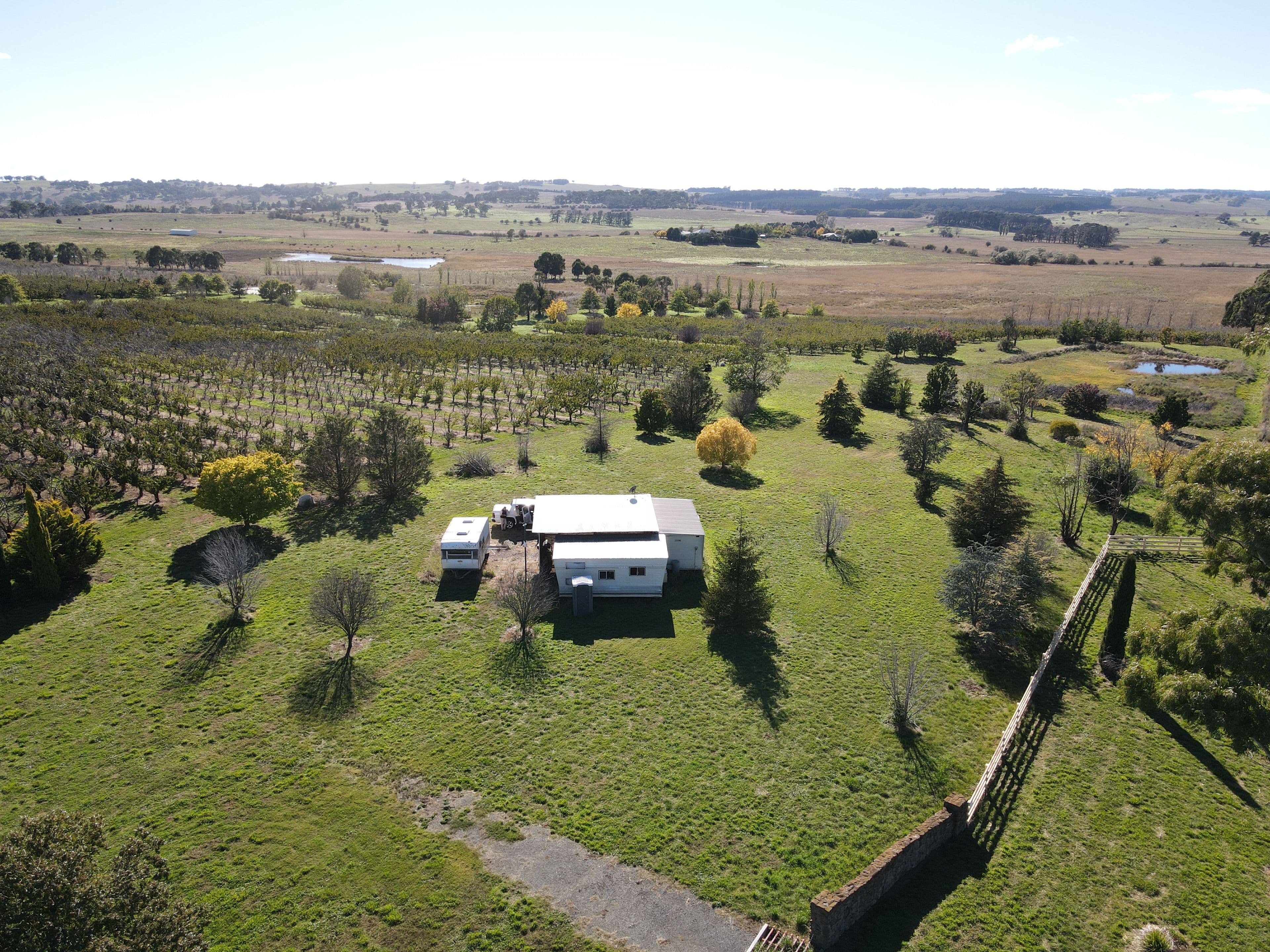 864 Vittoria Road, Guyong NSW 2798, Guyong - Thumbnail 2