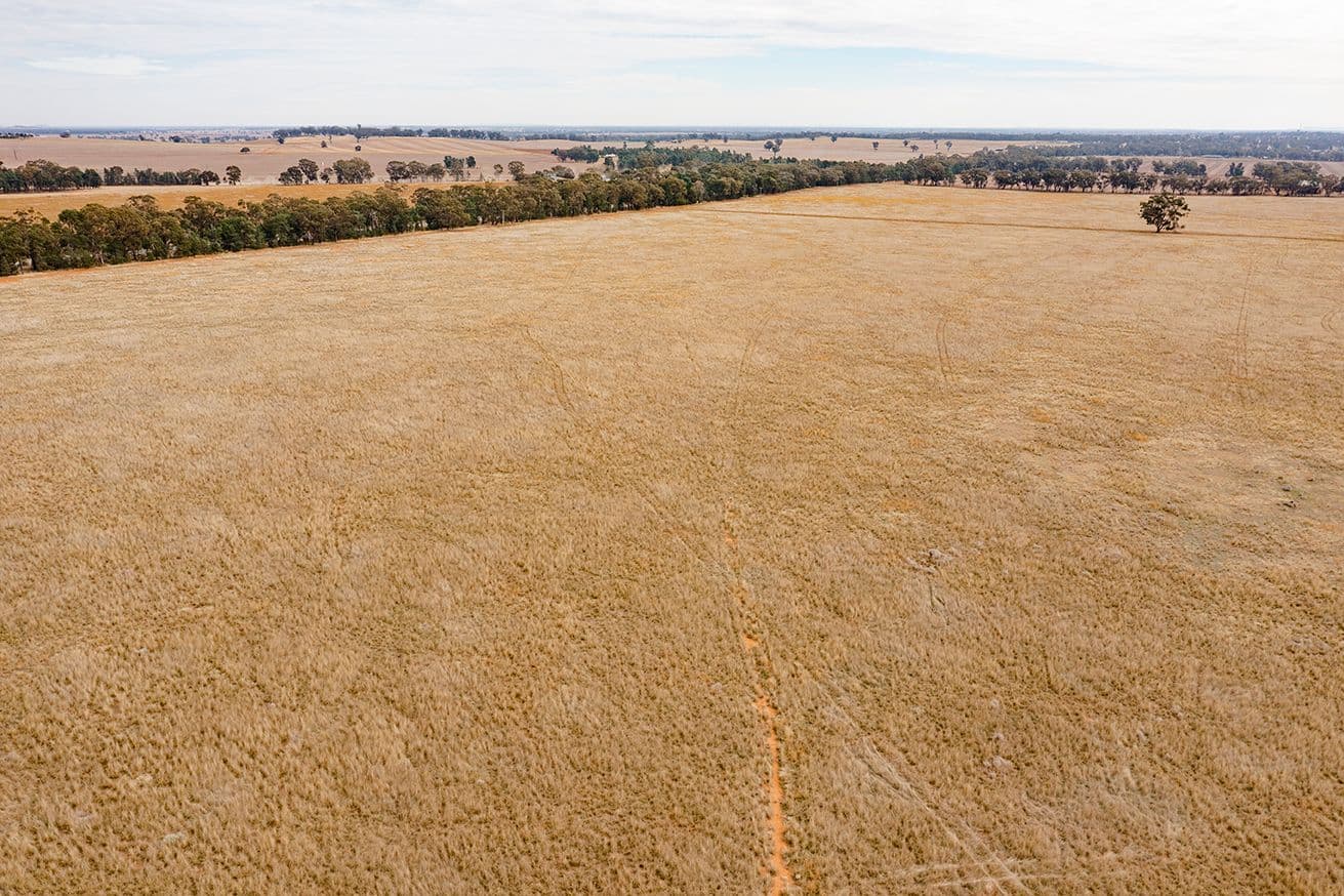 O'briens Coolamon Road, Coolamon NSW 2701, Coolamon - Thumbnail 2