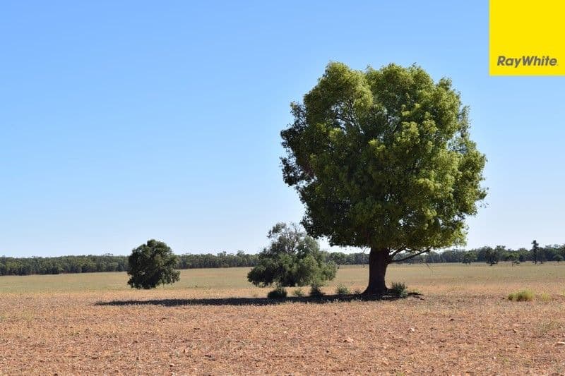 The Ranch Grassmere Road, CONDOBOLIN NSW 2877, Condobolin - Thumbnail 4