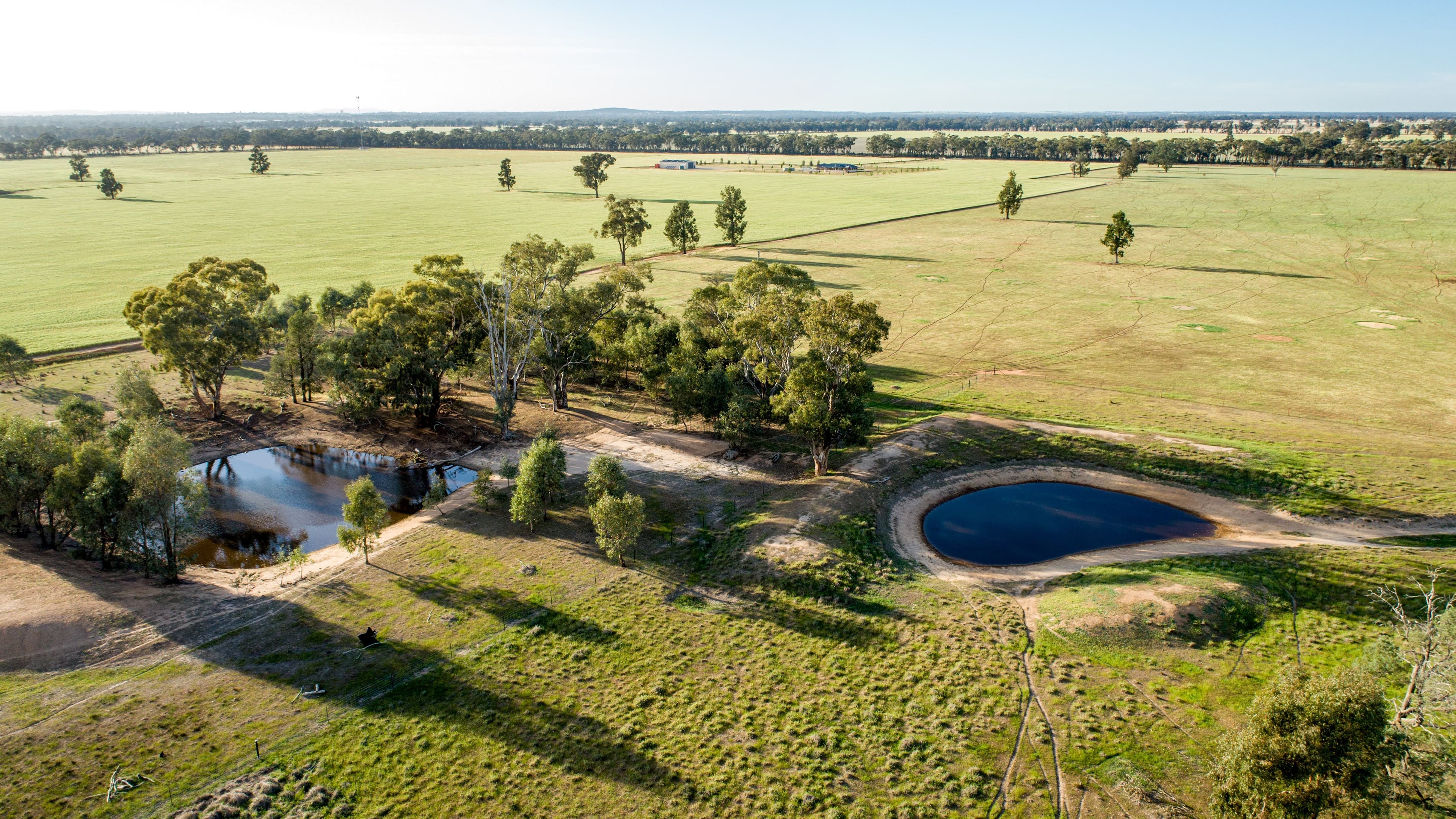 90 Thanowring School Road, Temora NSW 2666, Temora - Thumbnail 5