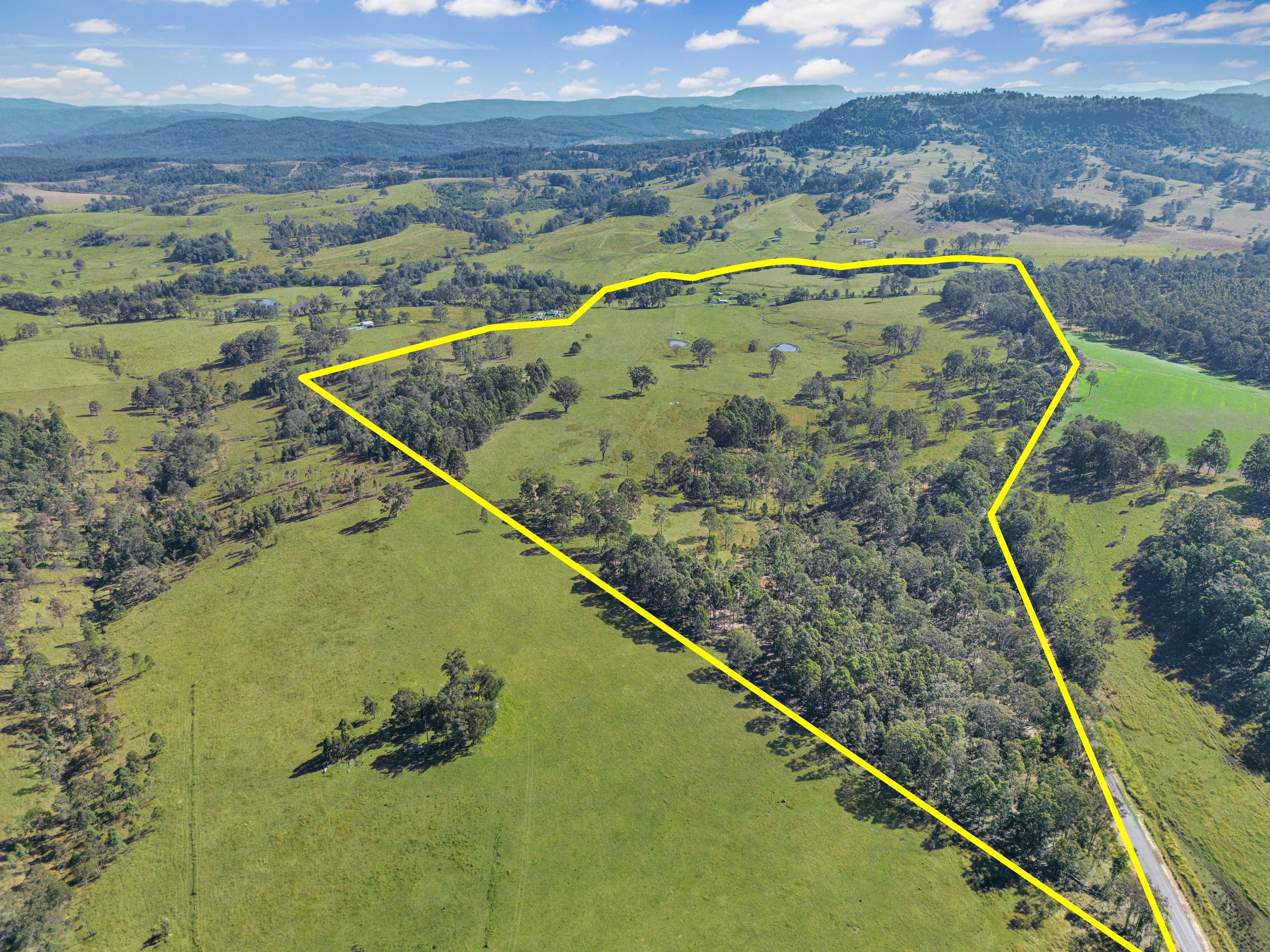 46 Tabulam Road, Bottle Creek NSW 2469, Bottle Creek - Thumbnail 3