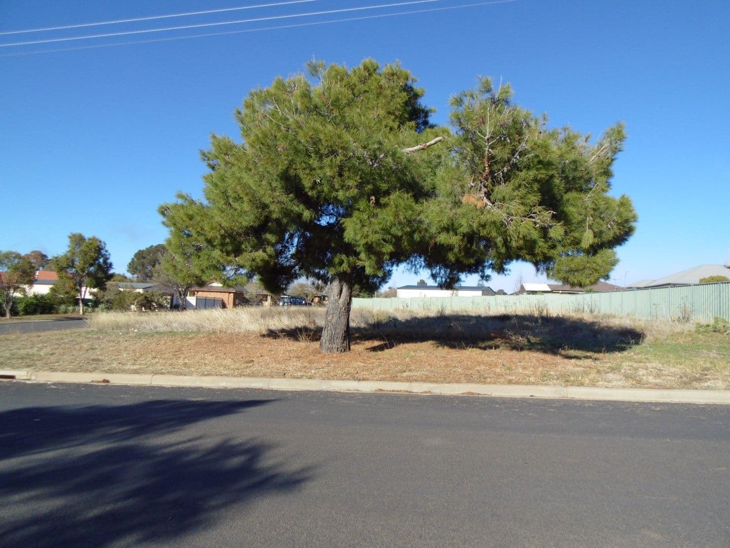 47 Medlyn Street, Parkes NSW 2870, Parkes - Image 1