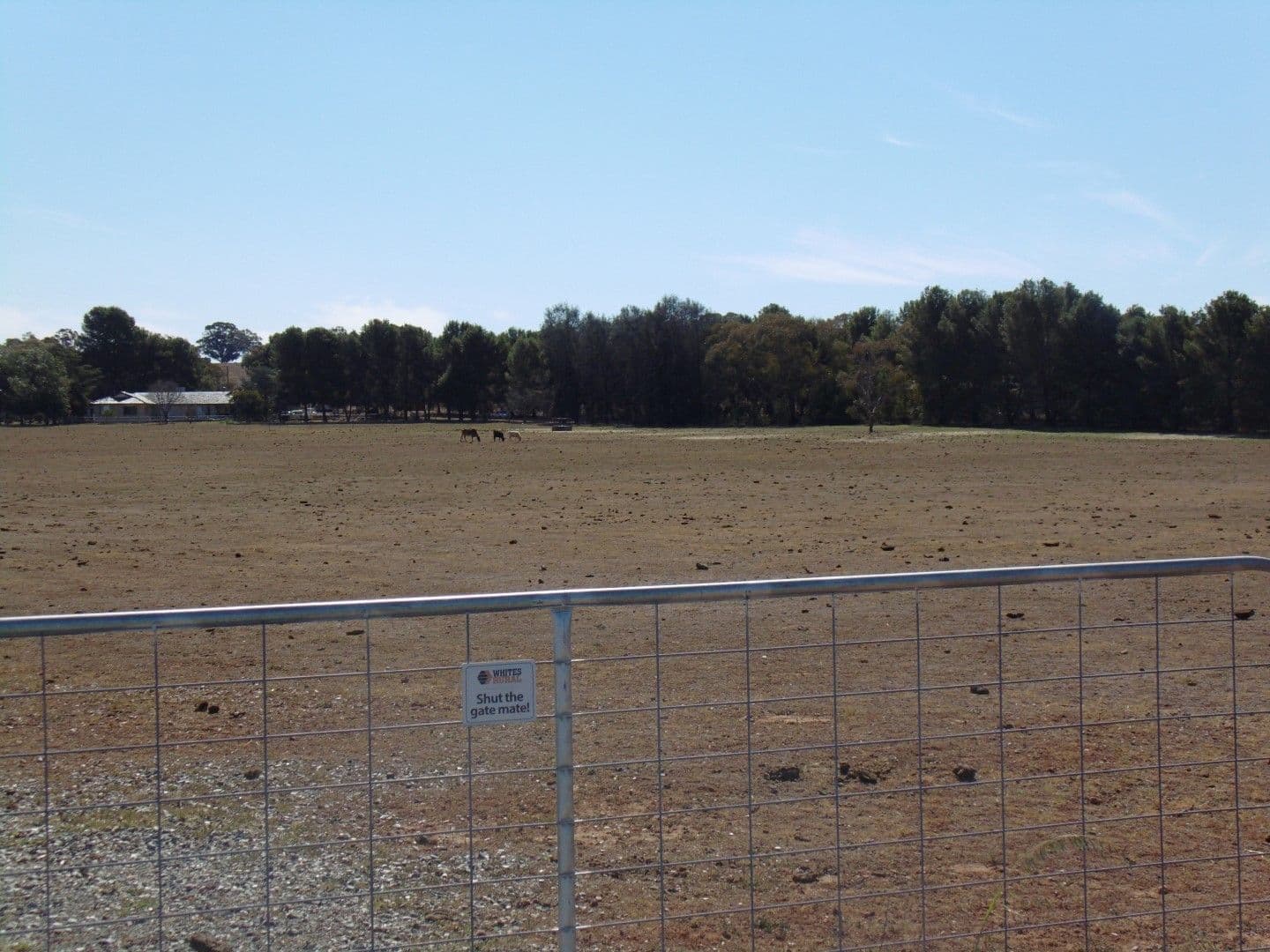 290 Back Yamma Road, Parkes - Thumbnail 5