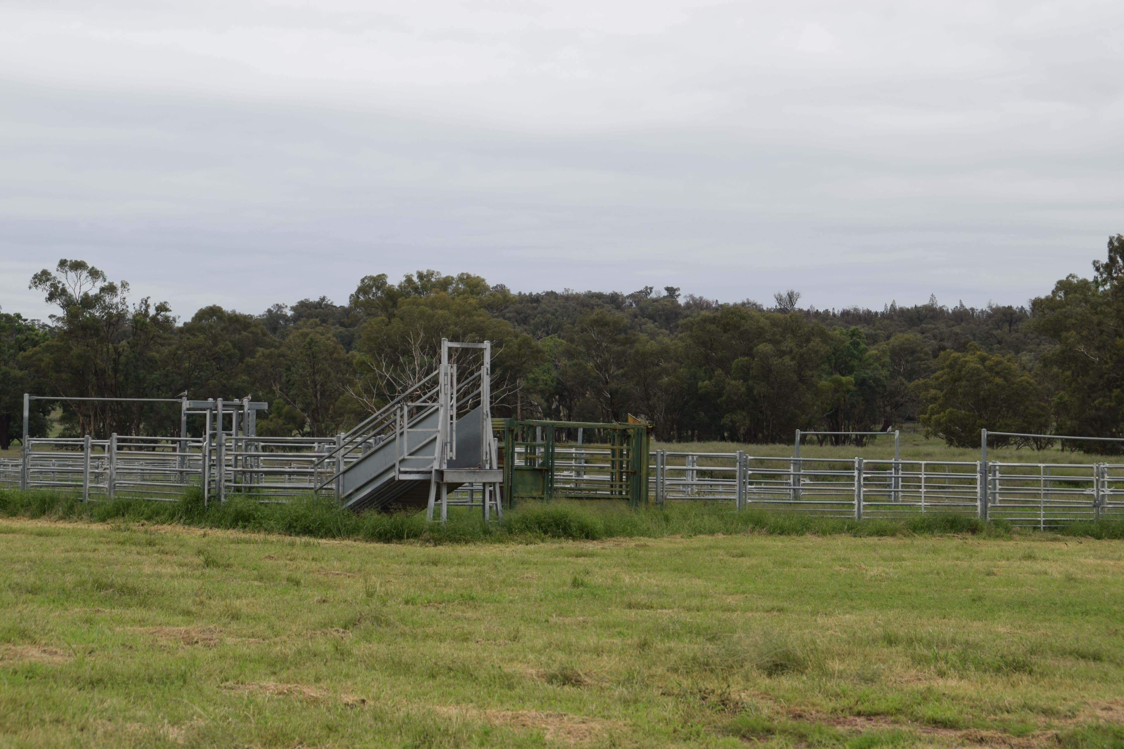 'Appletree Flat' 1864 Castlereagh Highway, Mendooran NSW 2842, Mendooran - Thumbnail 4