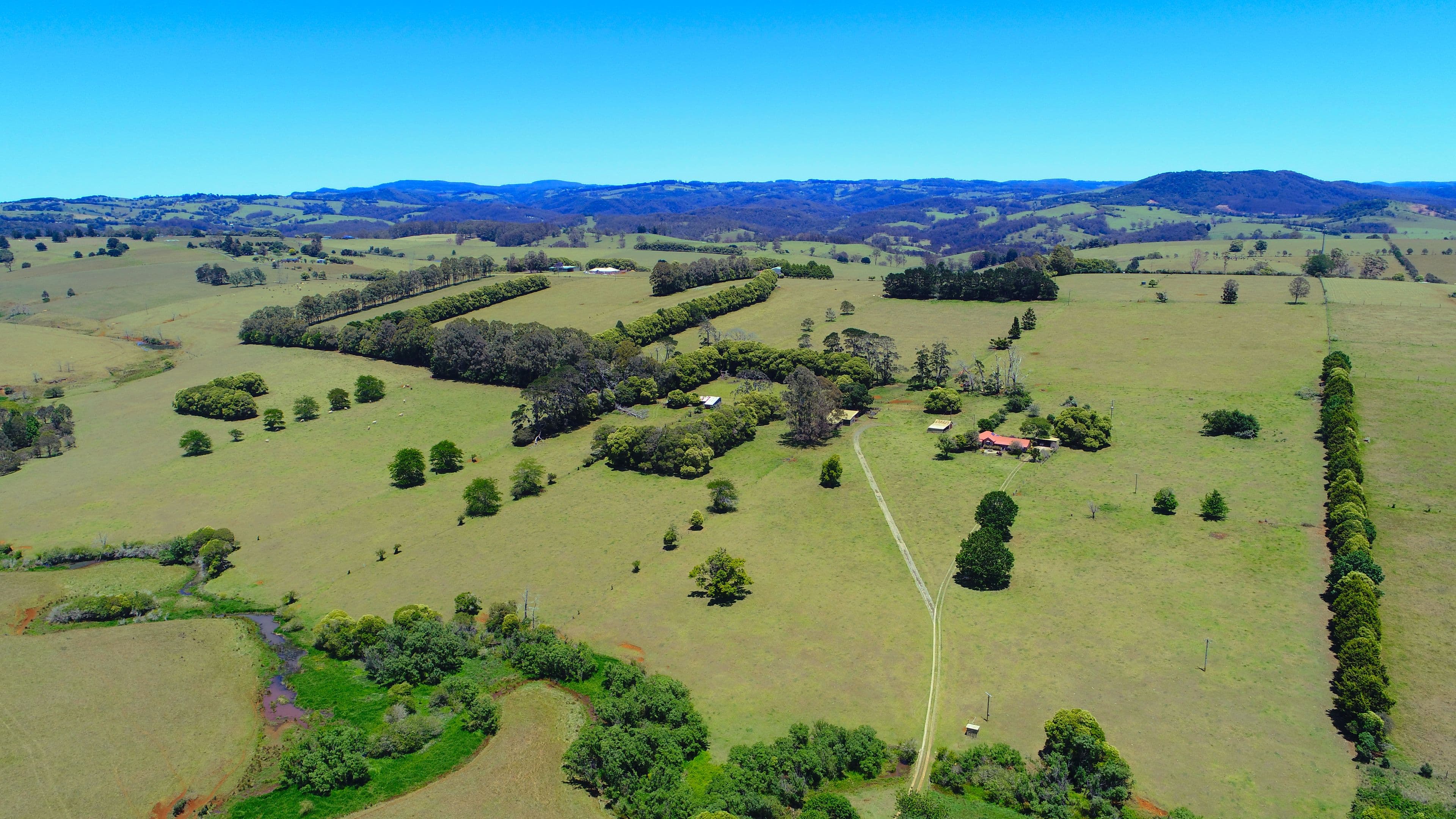 Dorrigo NSW 2453, Dorrigo - Thumbnail 3