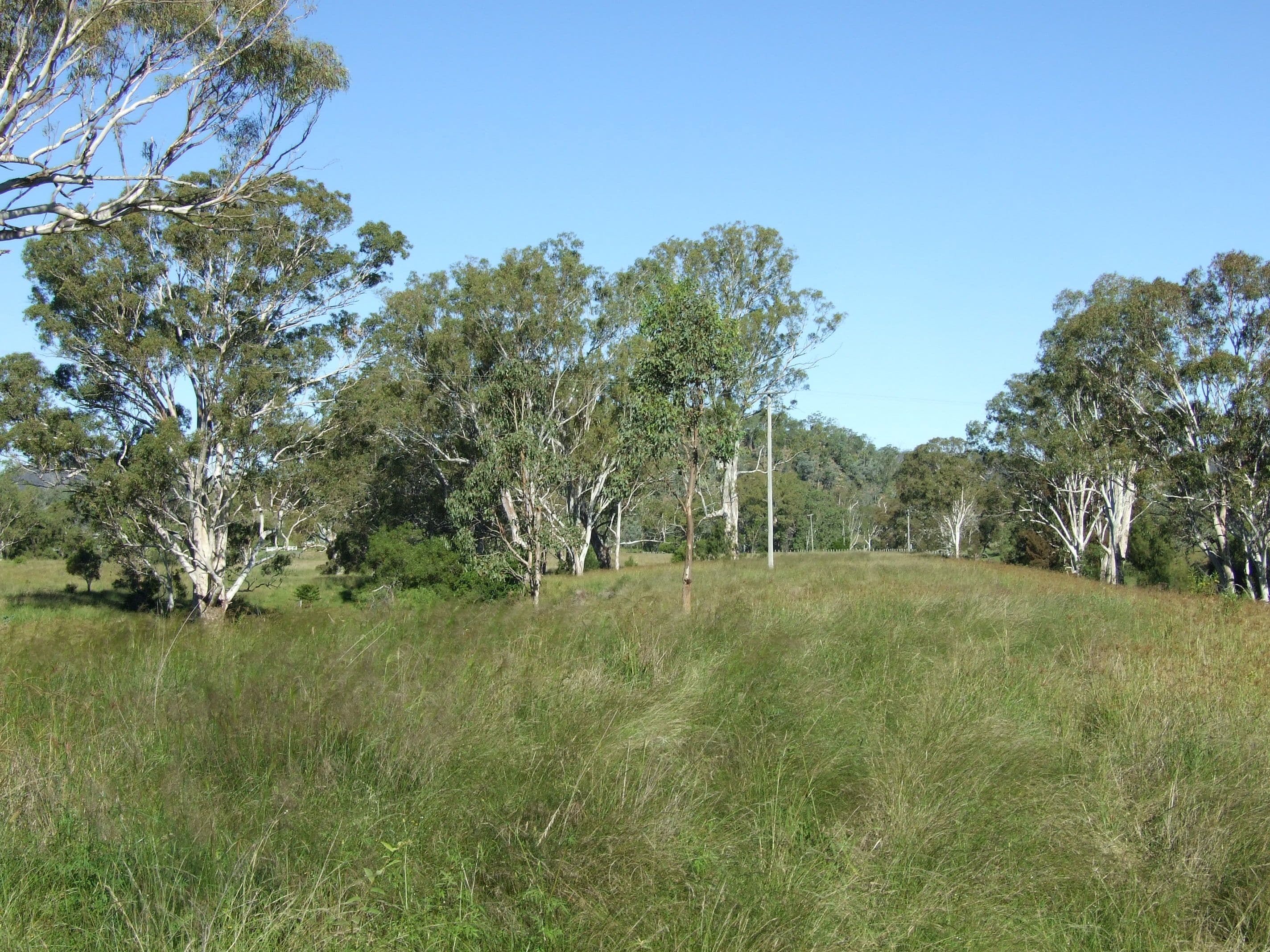 L11 Pierce Creek Road, Emu Creek QLD 4355, Emu Creek - Image 1