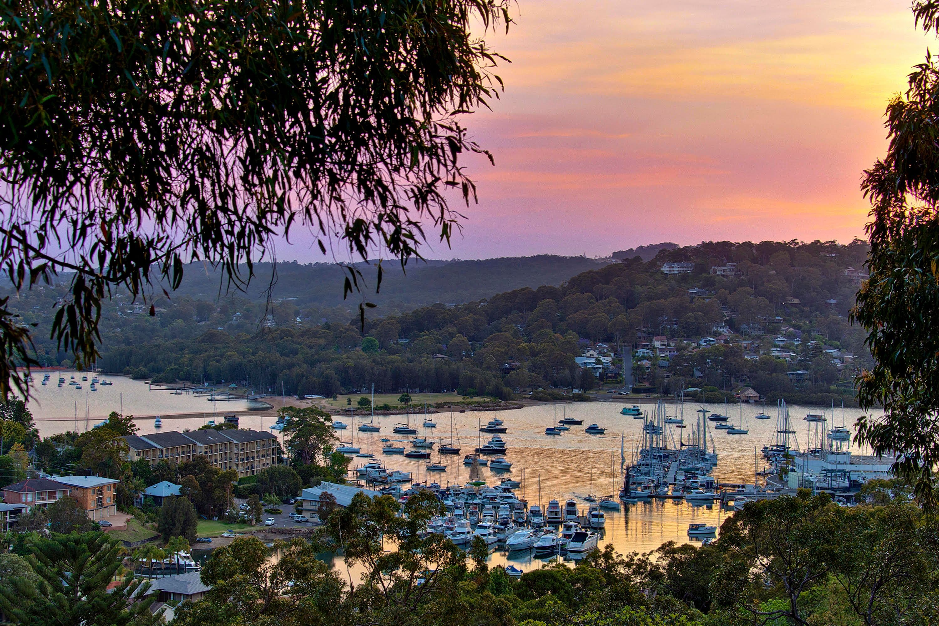 79 Wallumatta Road, Newport - Thumbnail 4