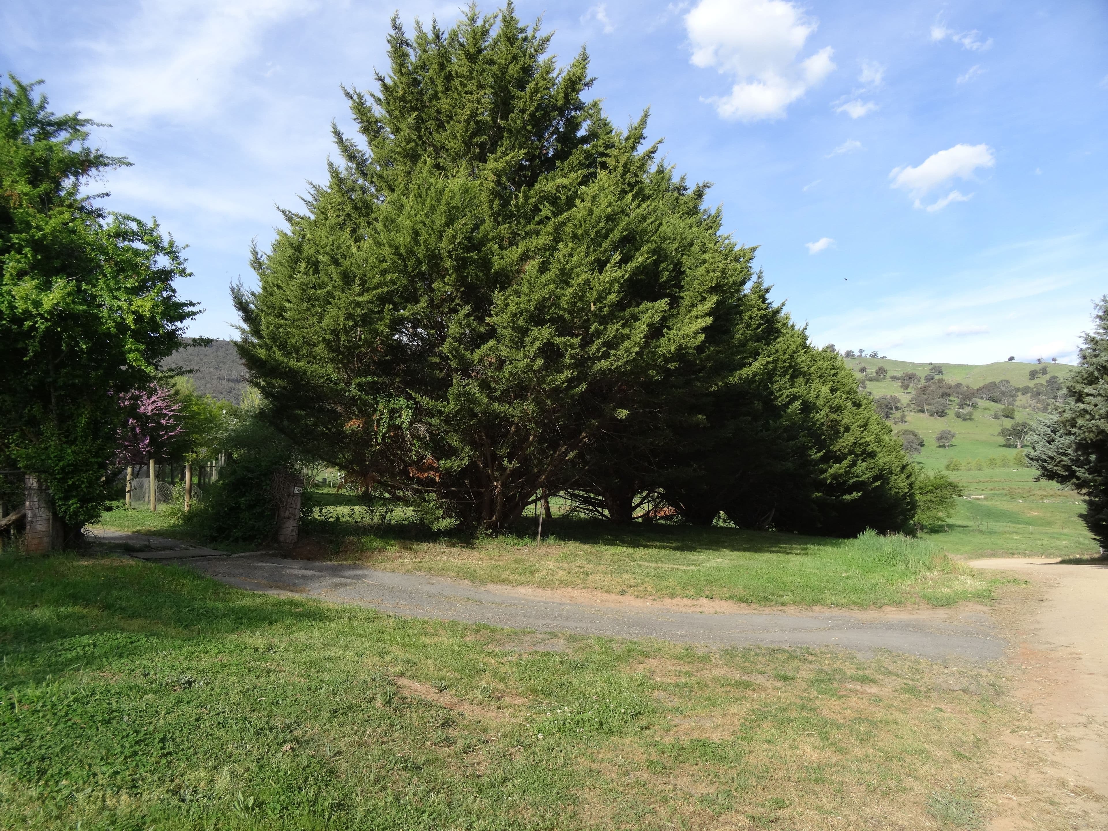 146 Mulholland Road, Georges Creek VIC 3700, Georges Creek - Thumbnail 5