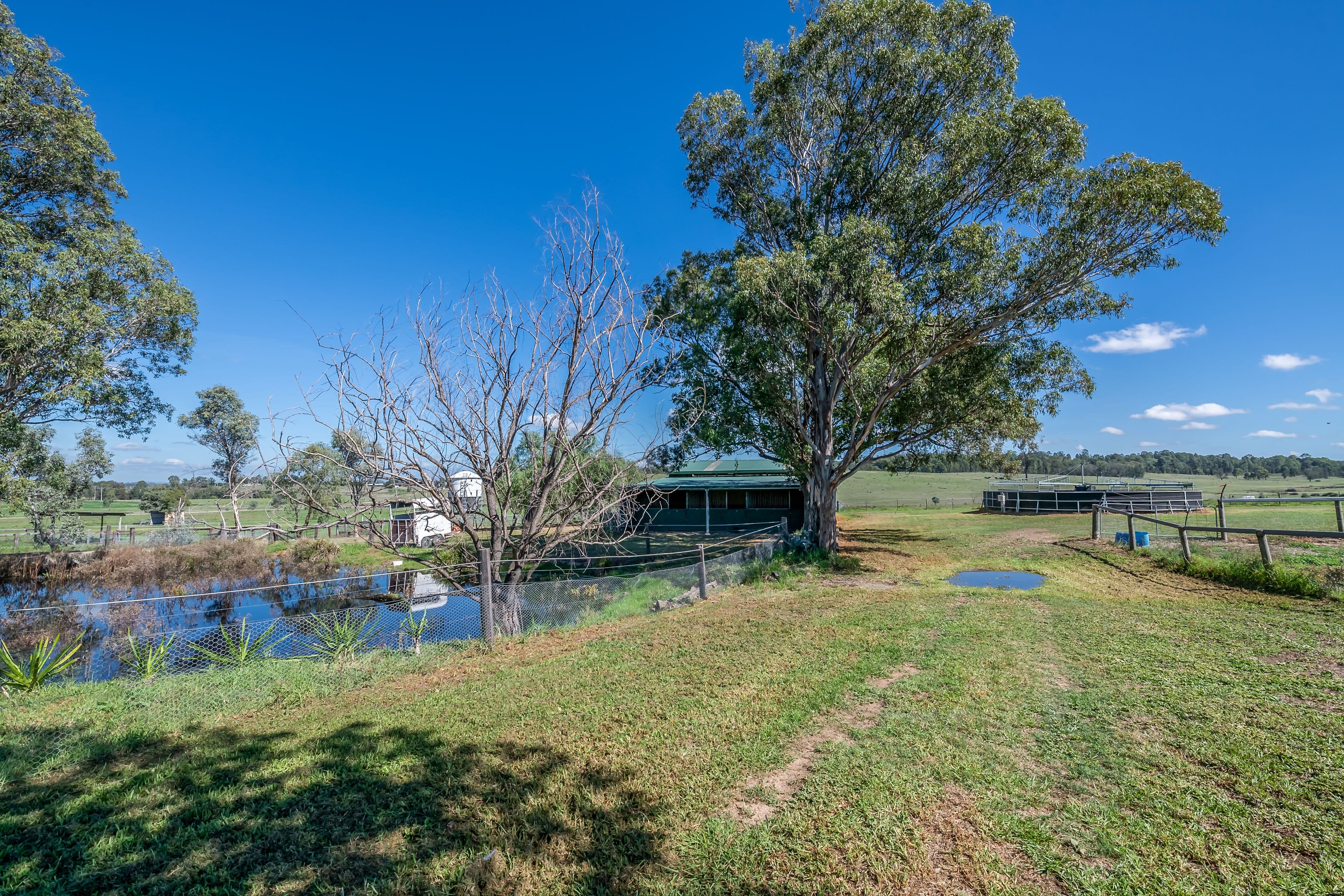 1064D Middle Falbrook Road, Singleton NSW 2330, Singleton - Thumbnail 6