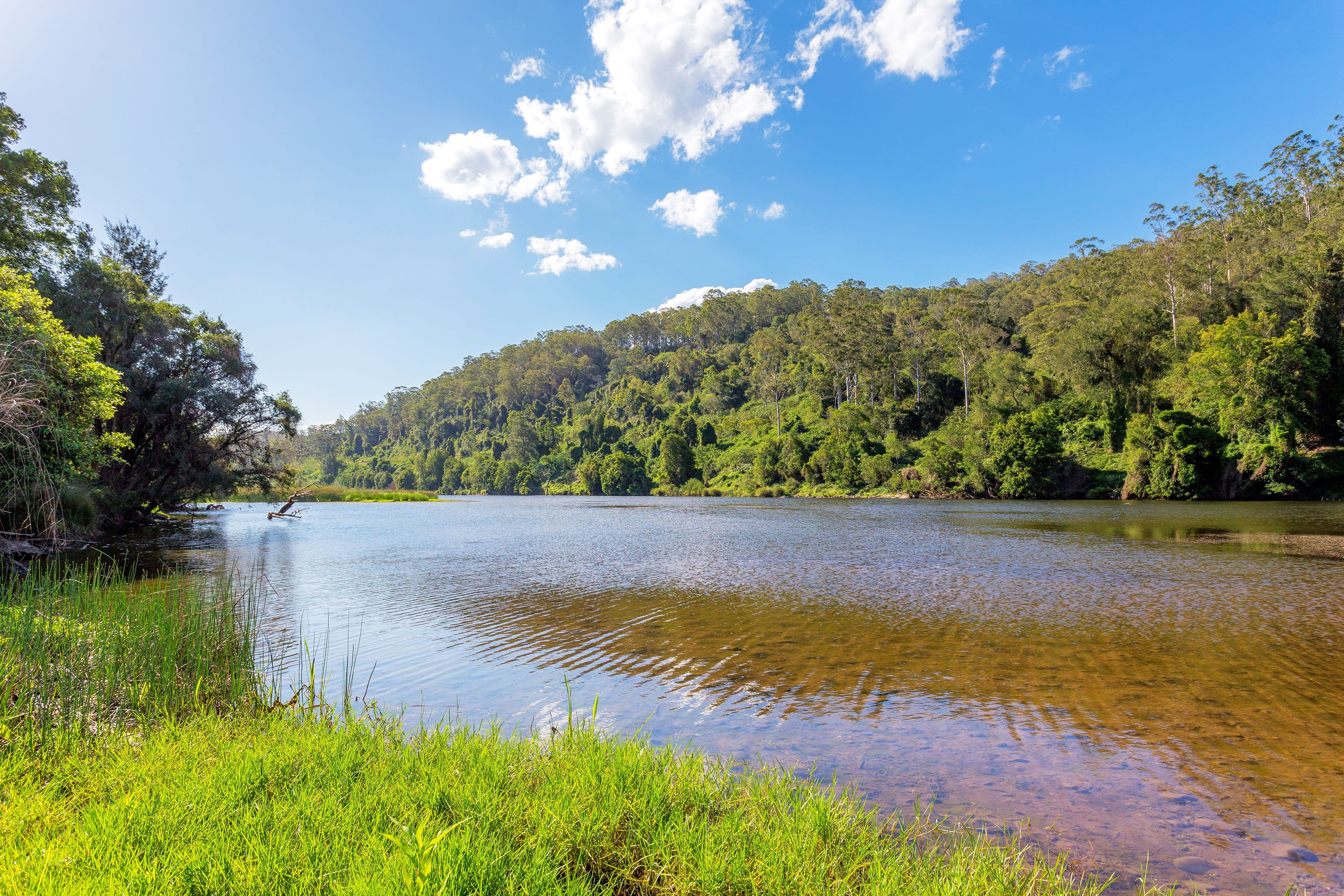 564 Kimbriki Road, Wingham NSW 2429, Wingham - Thumbnail 3
