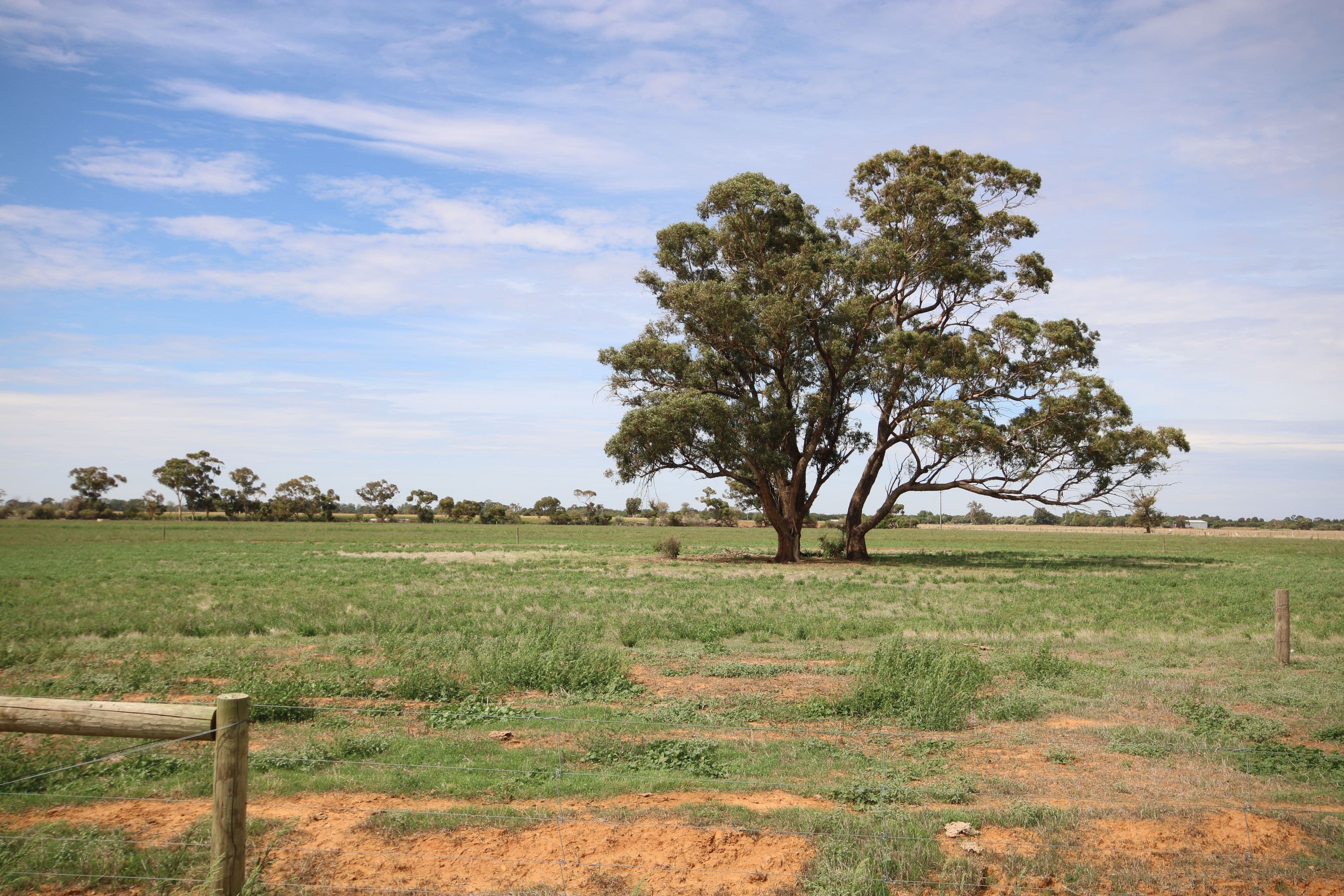 380 Diggora Road, Rochester VIC 3561, Rochester - Thumbnail 6