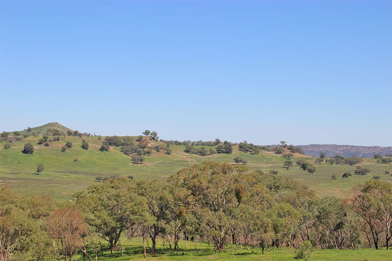 ' LUMEAH', COONABARABRAN NSW 2357, Coonabarabran - Thumbnail 5