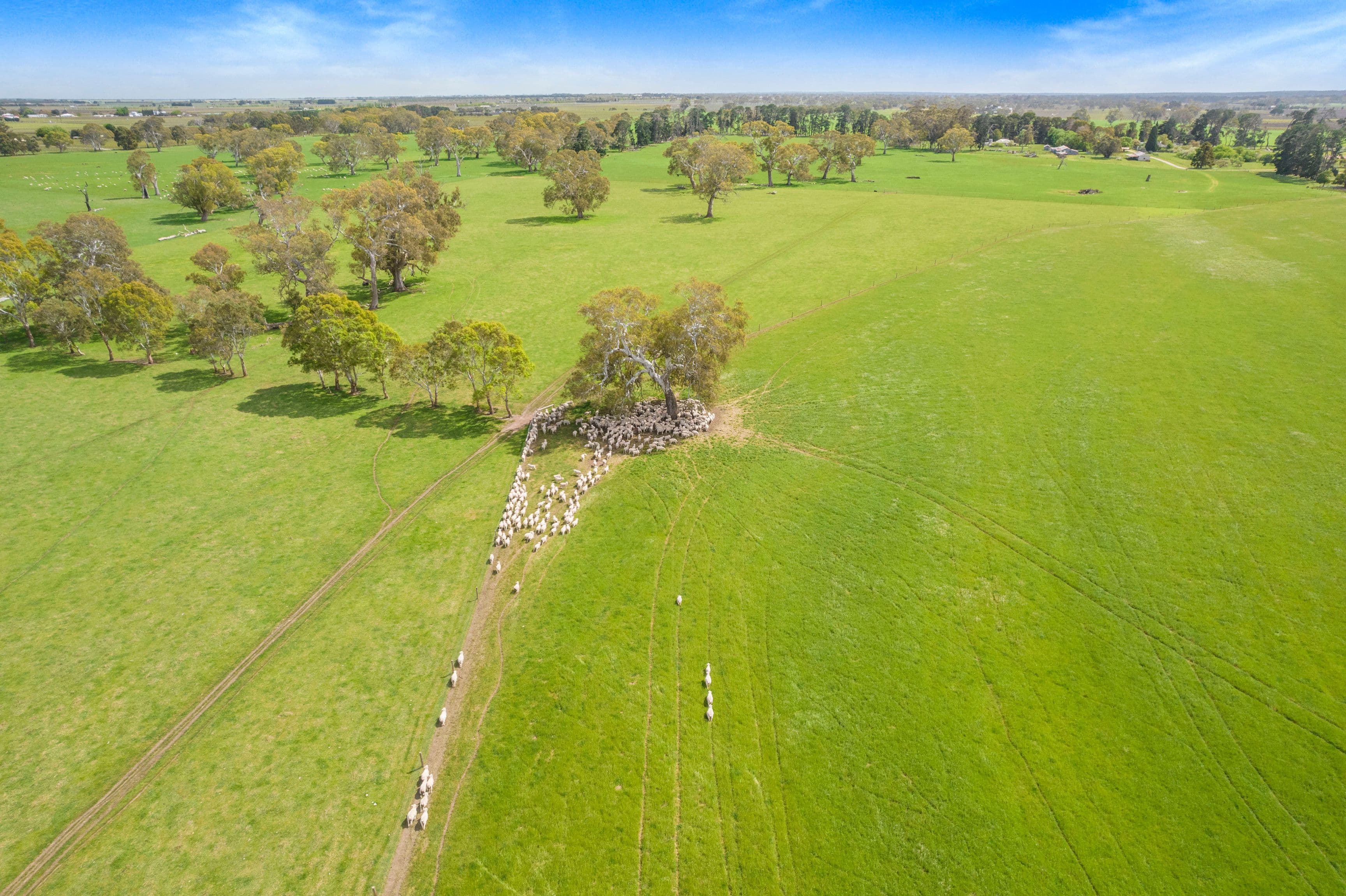 Lot 4 Richardson Road, Coonawarra SA 5263, Coonawarra - Image 1