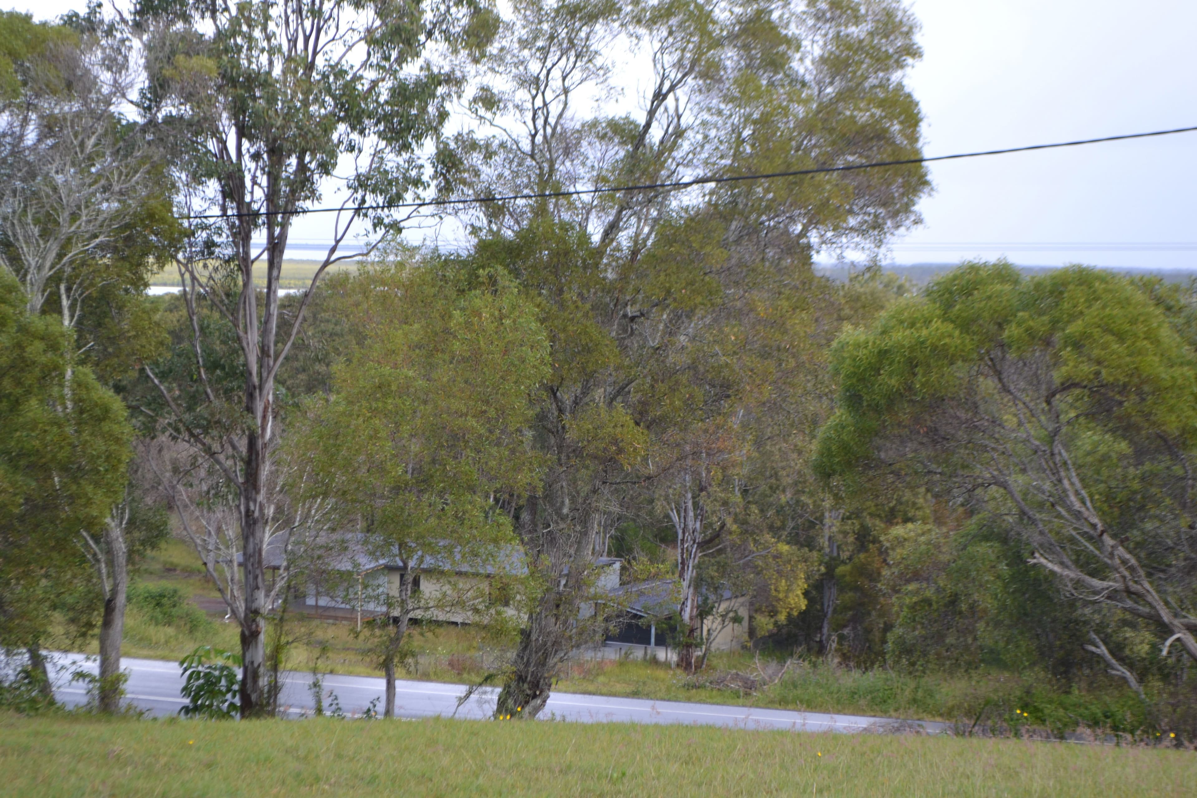 718 River Heads Road, River Heads QLD 4655, River Heads - Thumbnail 8