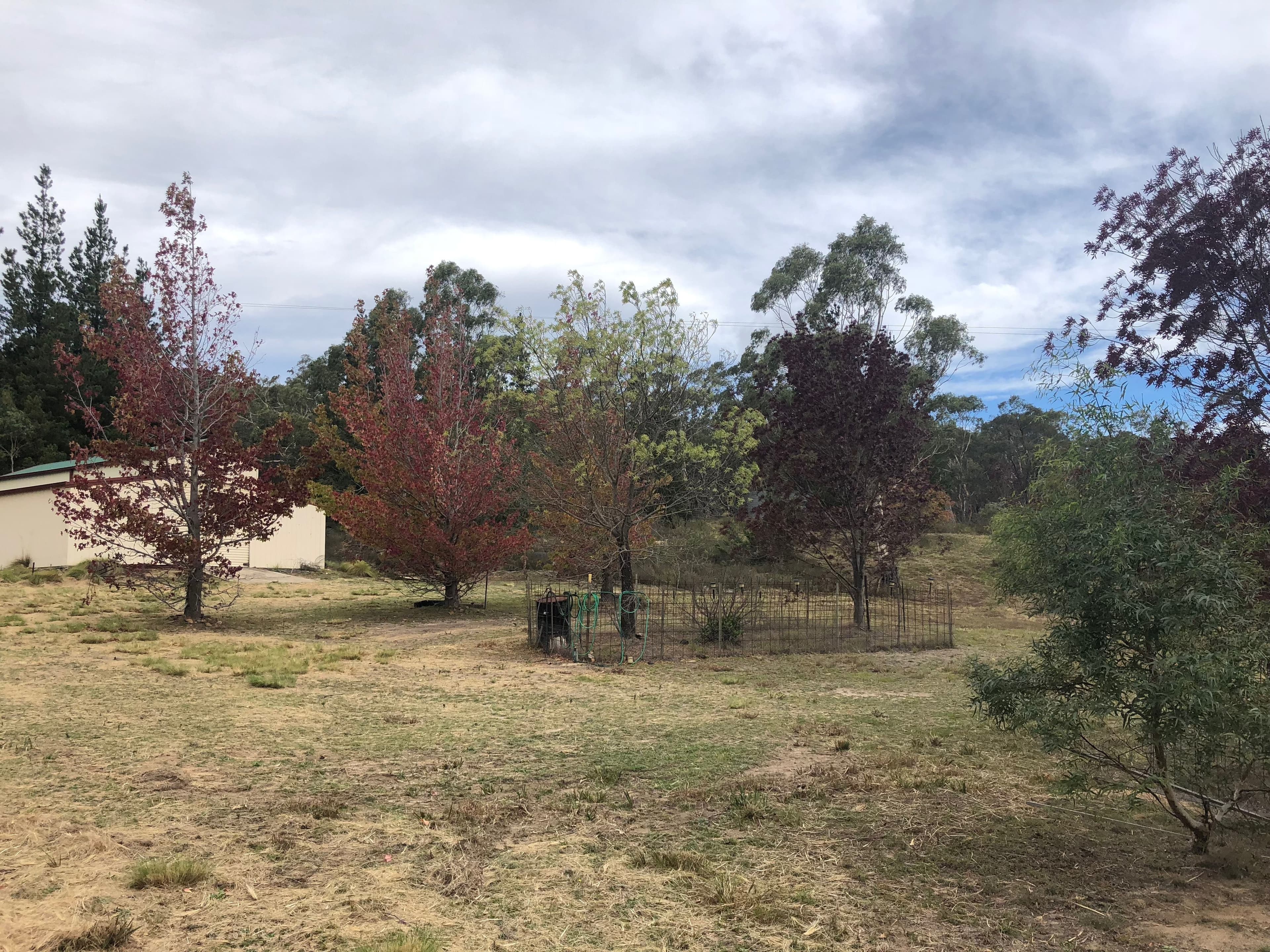 1821 Cooma Road, Bendoura NSW 2622, Bendoura - Thumbnail 2