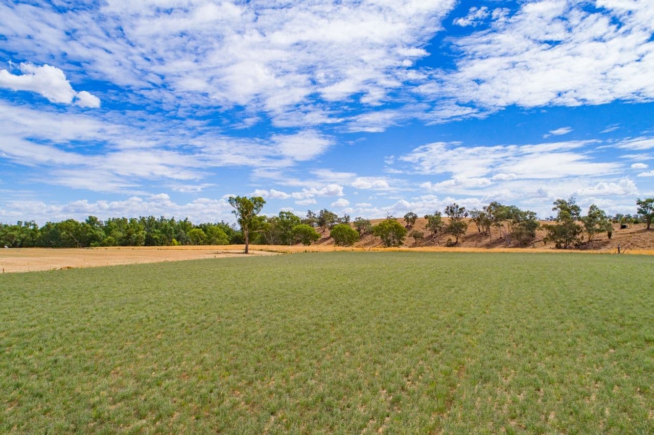 'Bayview' Windowrie Road, Billimari NSW 2804, Billimari - Thumbnail 7