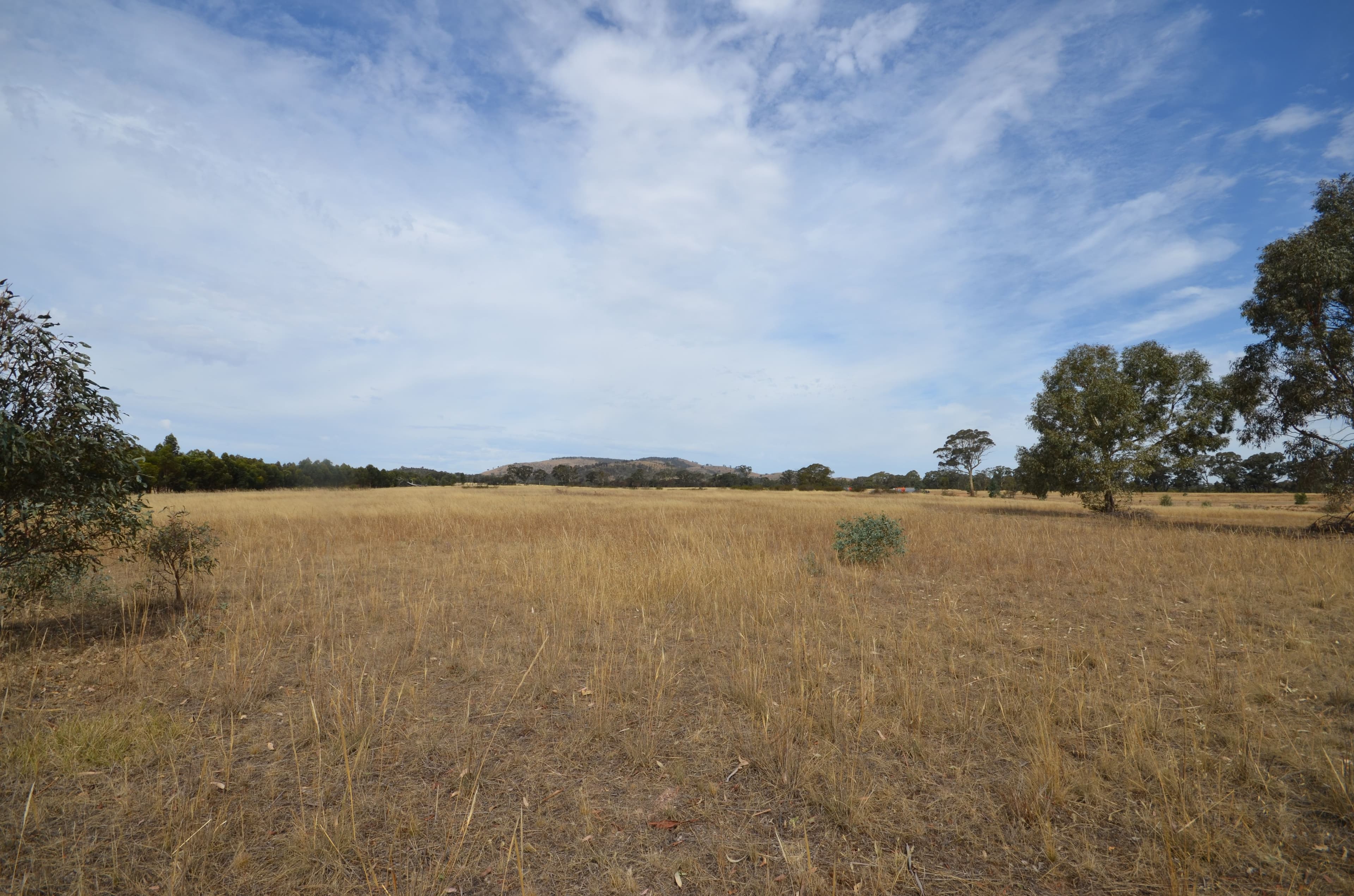 CA 65 Frenchmans-Starnaud Road, BARKLY  Victoria  3384, Australia, Barkly - Image 1