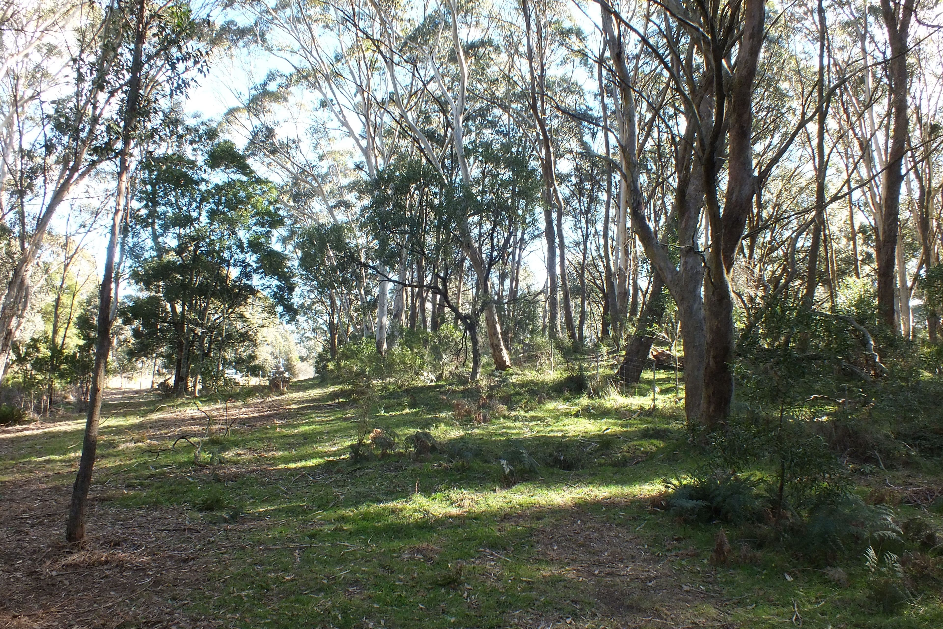 Lot 9 Jenolan Caves Road, Hampton NSW 2790, Hampton - Thumbnail 7