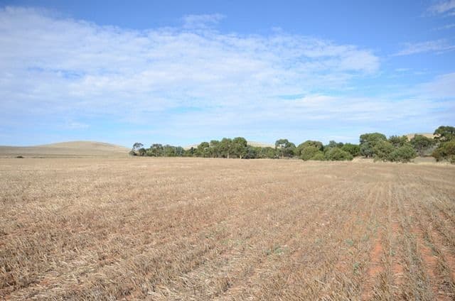 446 Carmody Road, Leighton SA 5417, Leighton - Thumbnail 6