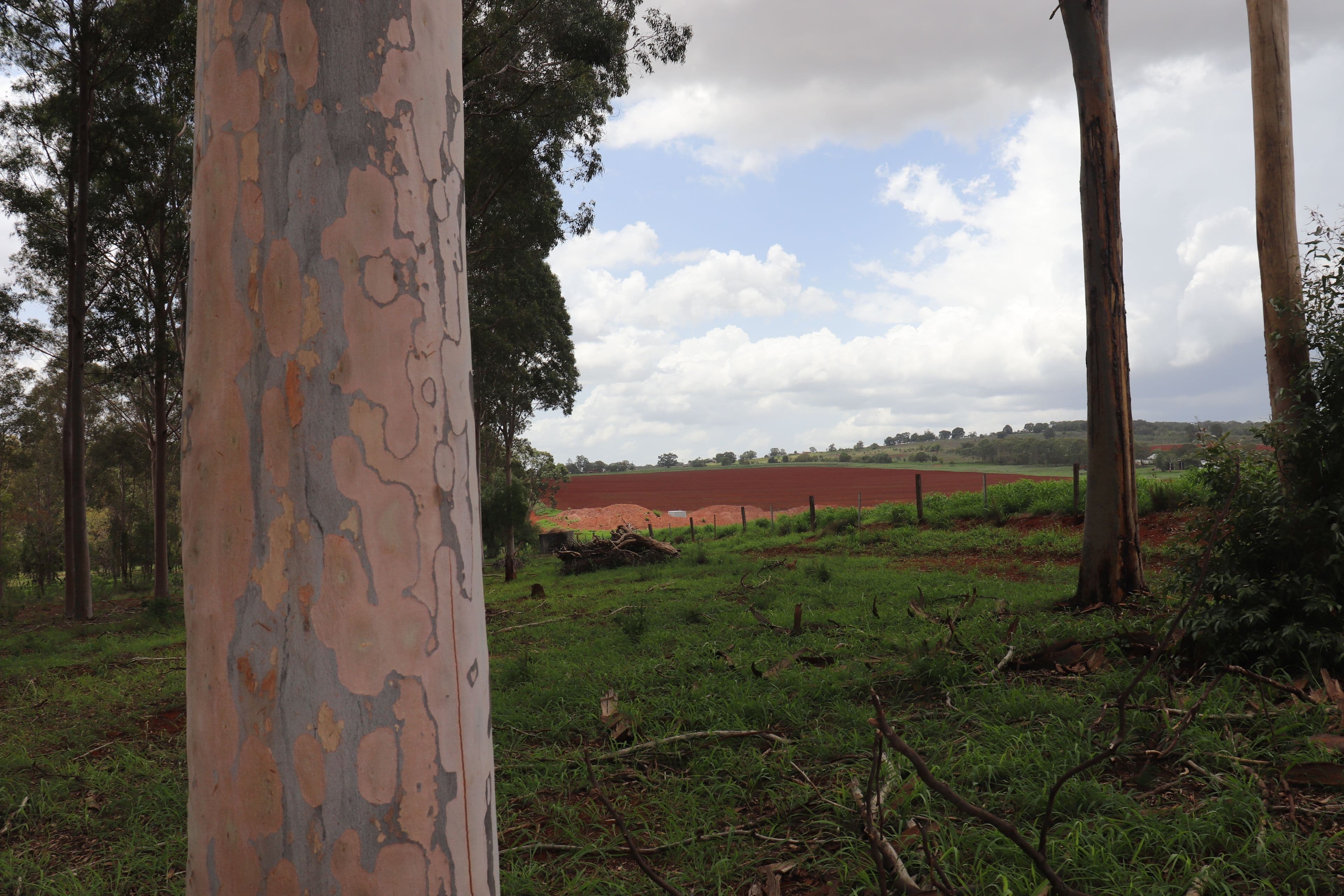 Lot 189 Birt Road, Memerambi QLD 4610, Memerambi - Thumbnail 2