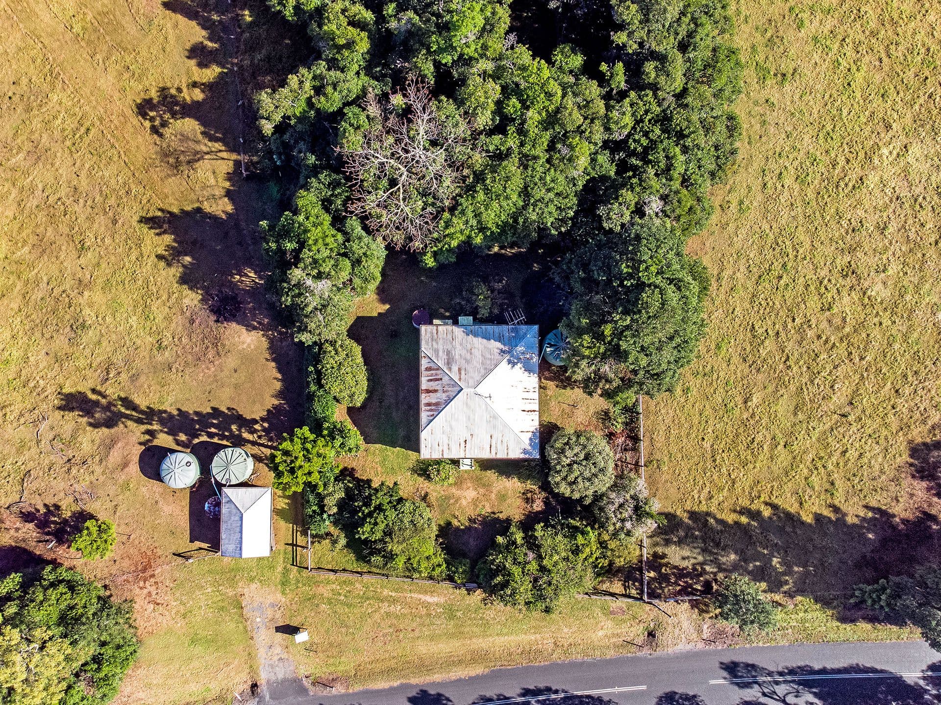 360 Binna Burra Road, Beechmont QLD 4211, Beechmont - Thumbnail 5
