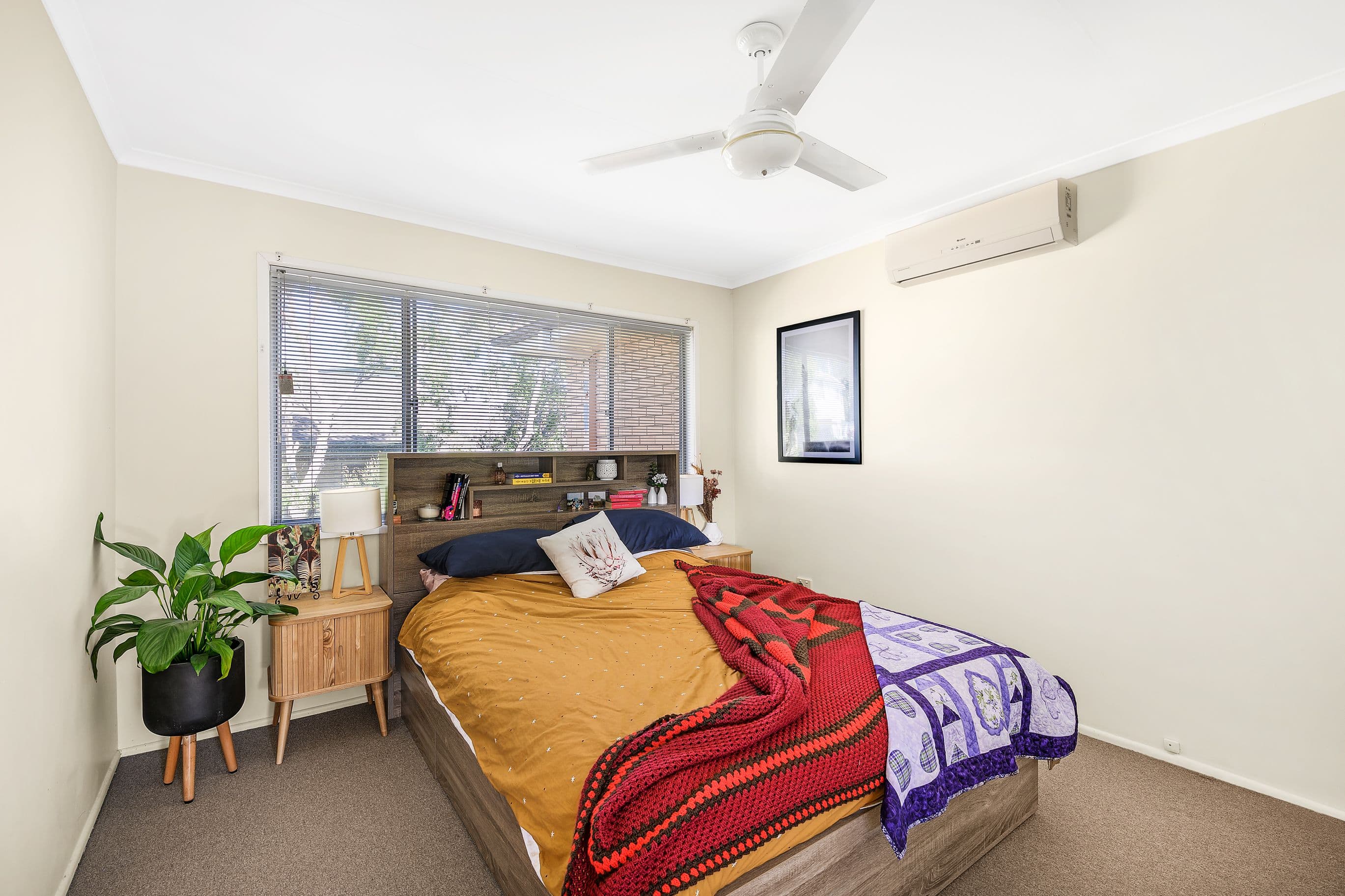 14 Harty Street, Coorparoo QLD 4151, Coorparoo - Thumbnail 3