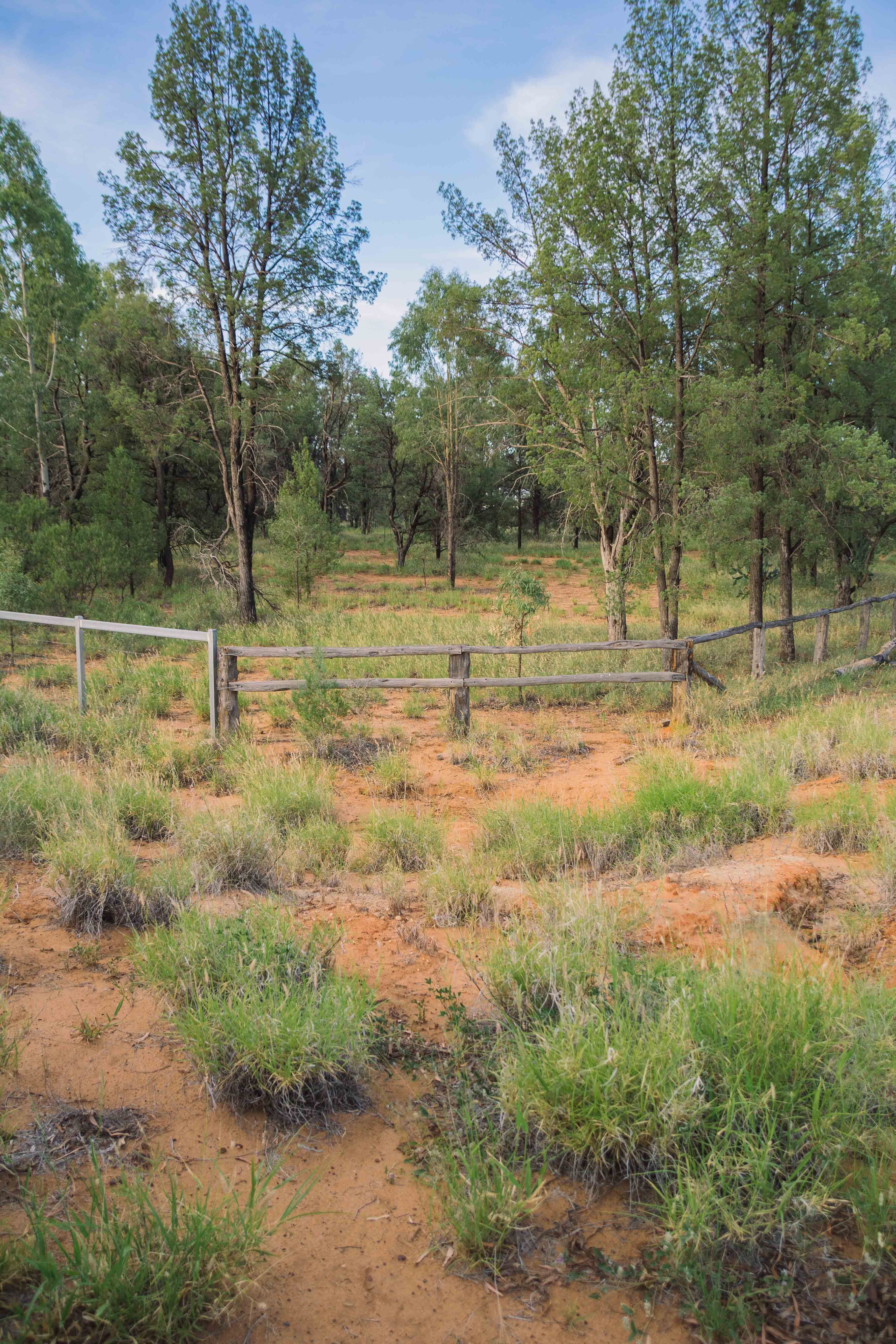 0 Banjarra Drive, Charleville QLD 4470, Charleville - Thumbnail 2