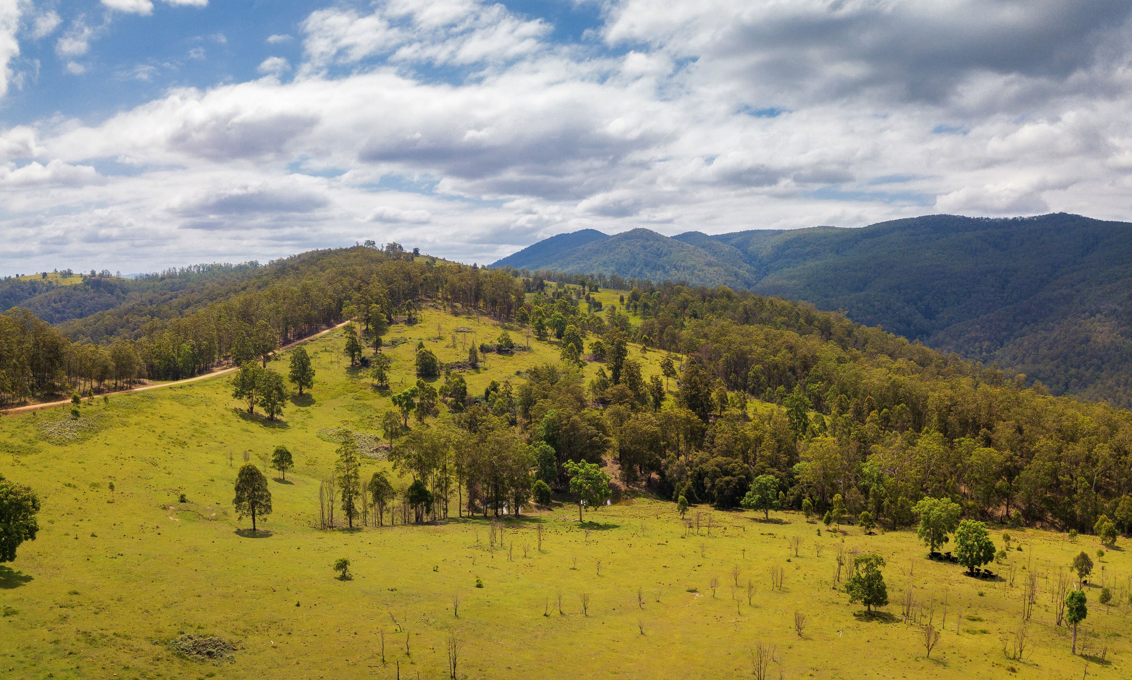 188 Enfield Range Road, Cooplacurripa NSW 2424, Cooplacurripa - Thumbnail 7