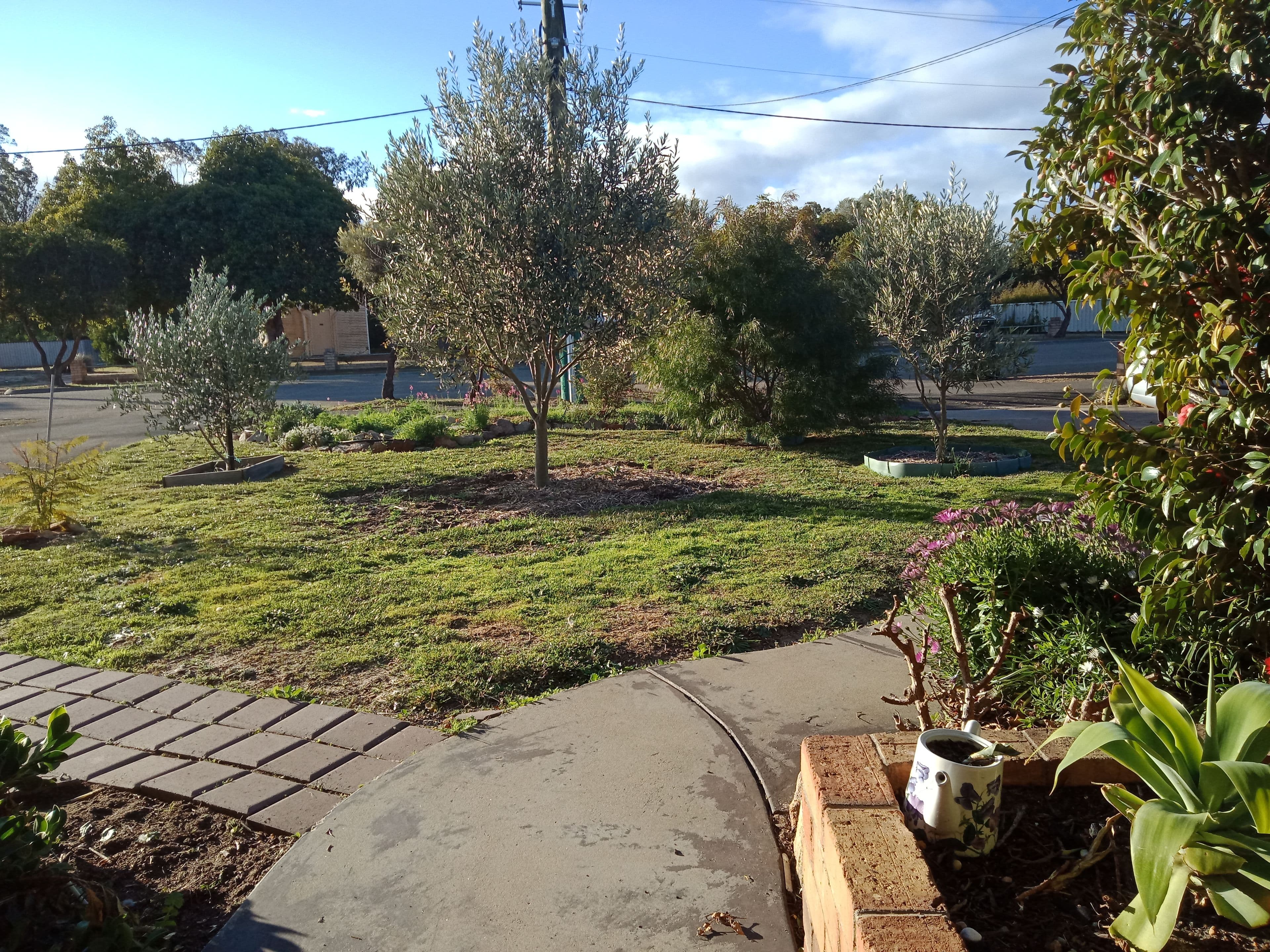 25 Henry Street, Tambellup WA 6320, Tambellup - Thumbnail 5
