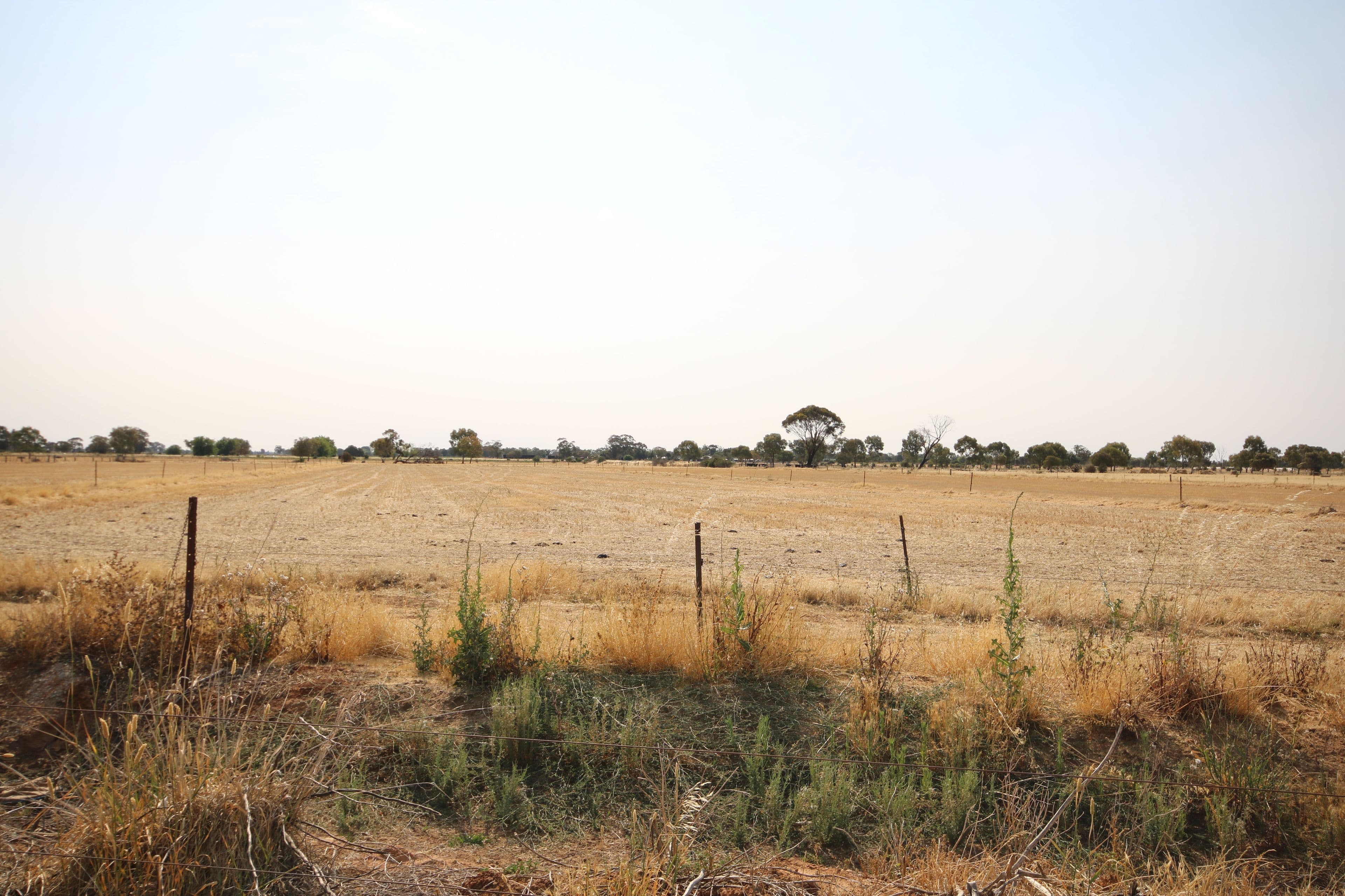 293 Hansen Road, Ballendella VIC 3561, Ballendella - Thumbnail 6