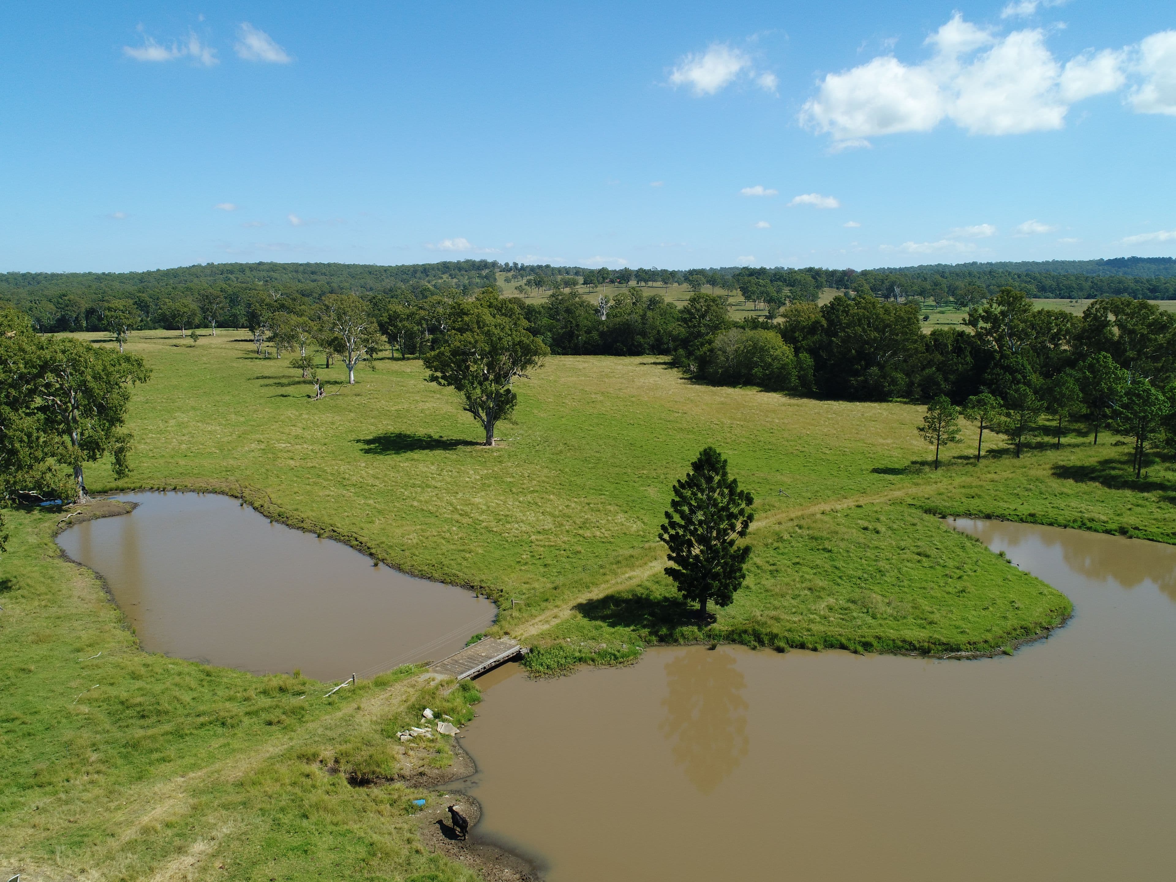 330 - 390 Spengler Road, Tabragalba QLD 4285, Tabragalba - Thumbnail 4