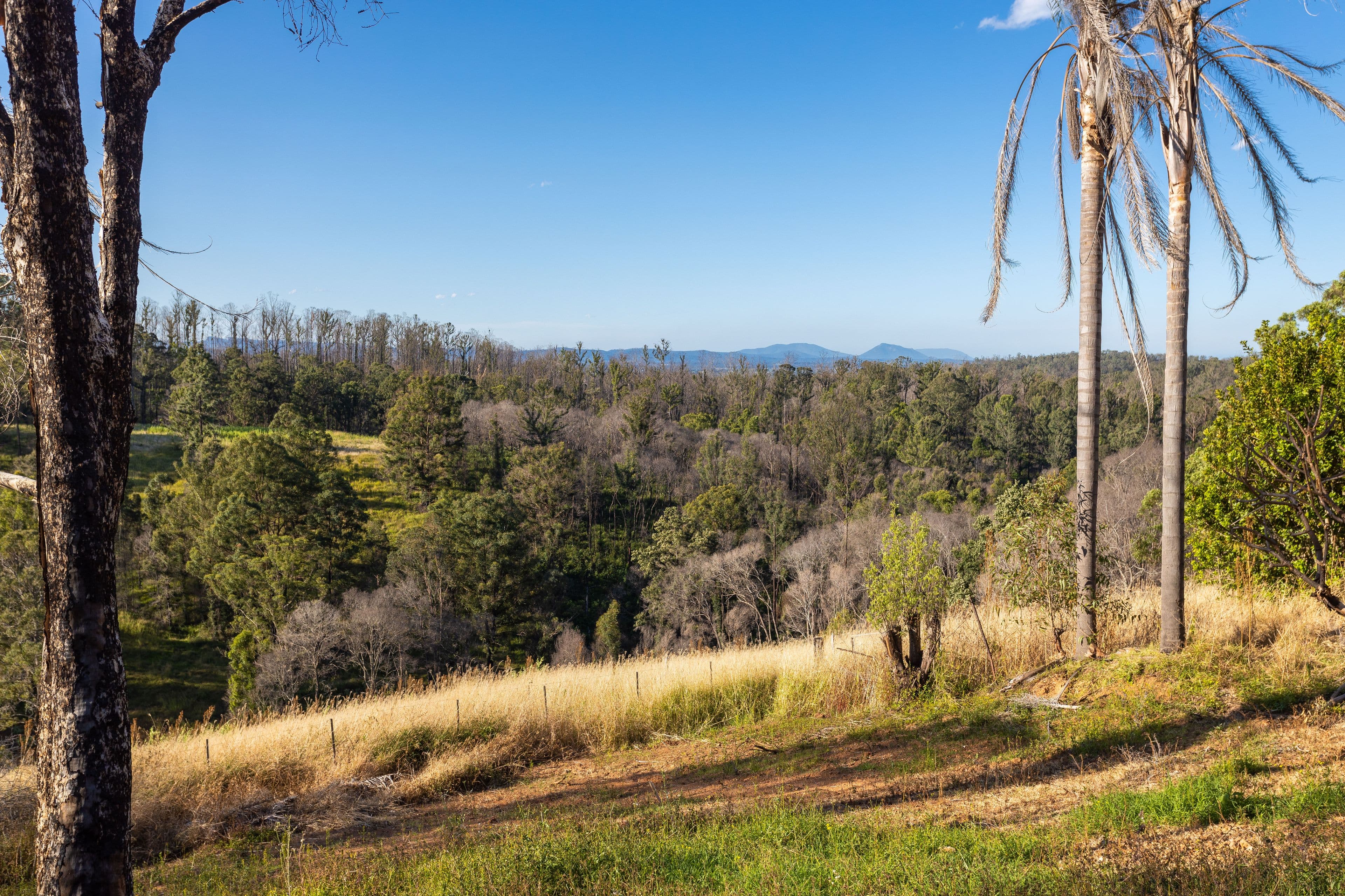 236 Fords Road, Koorainghat NSW 2430, Koorainghat - Thumbnail 6